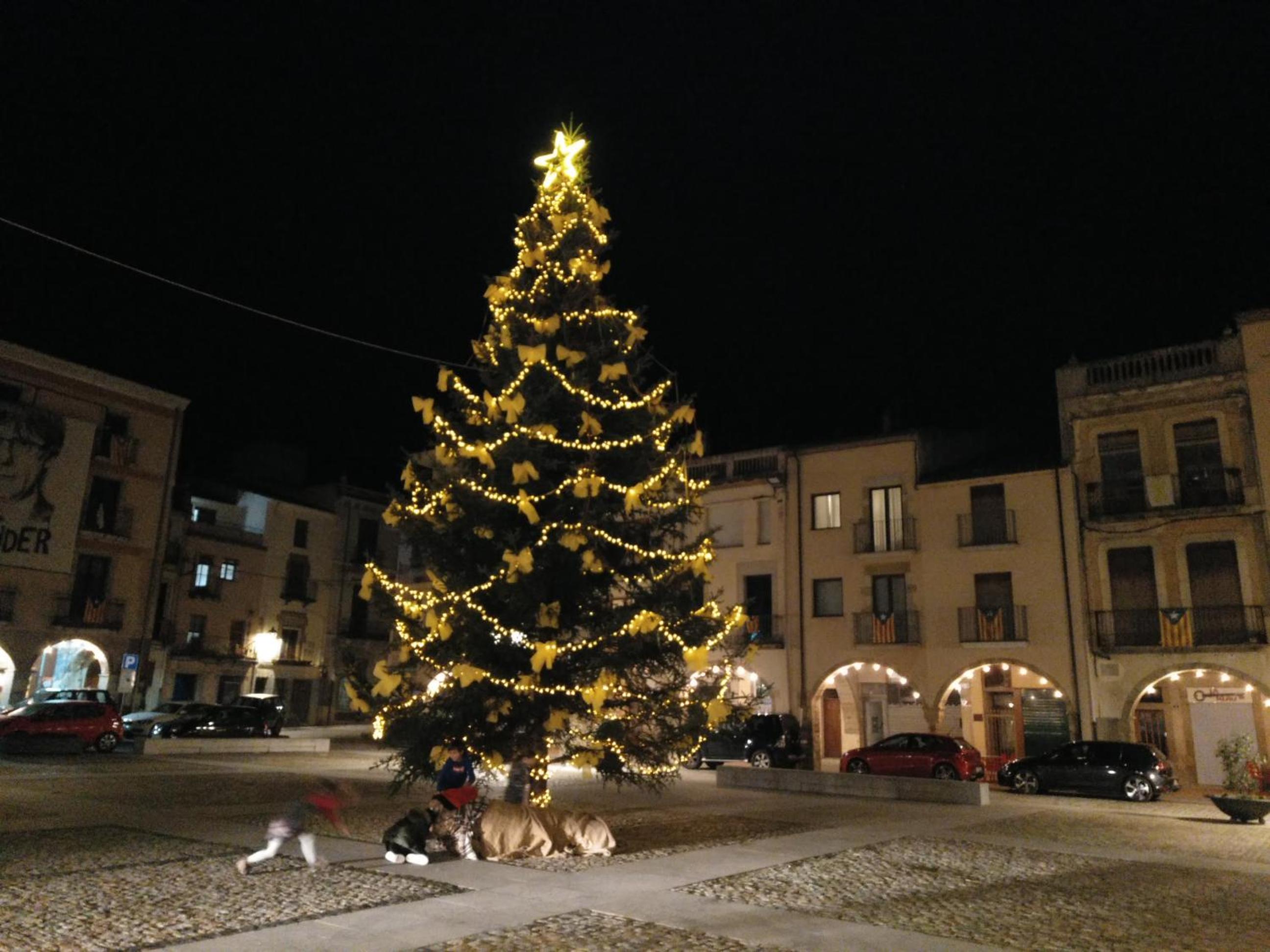 Photo 40