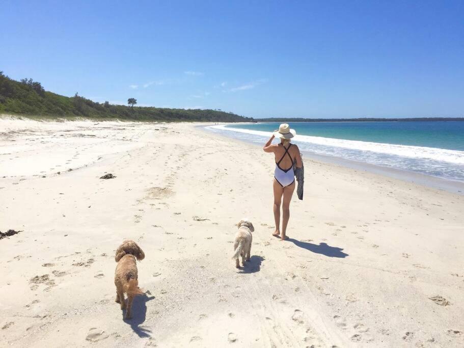 Bliss on the bay