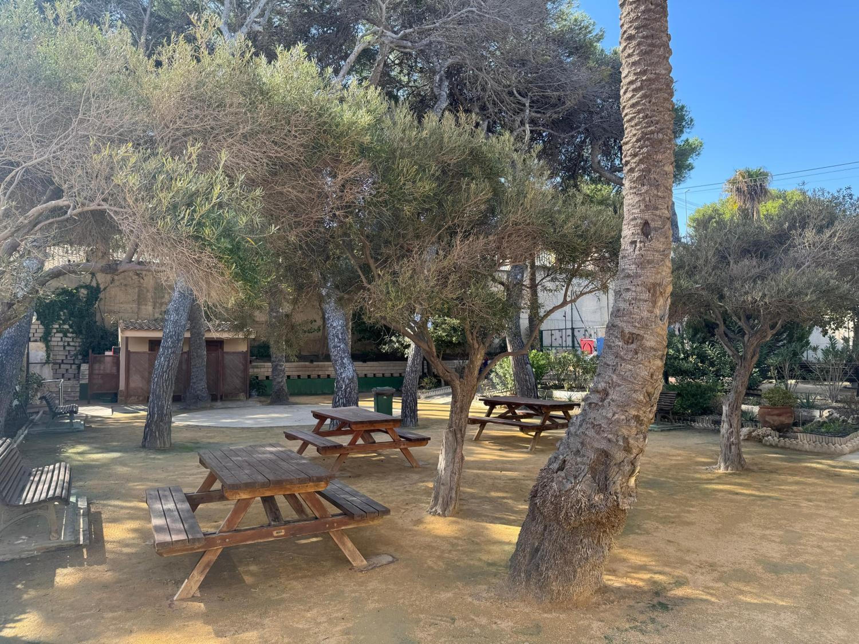 Apartamento primera línea playa Muchavista