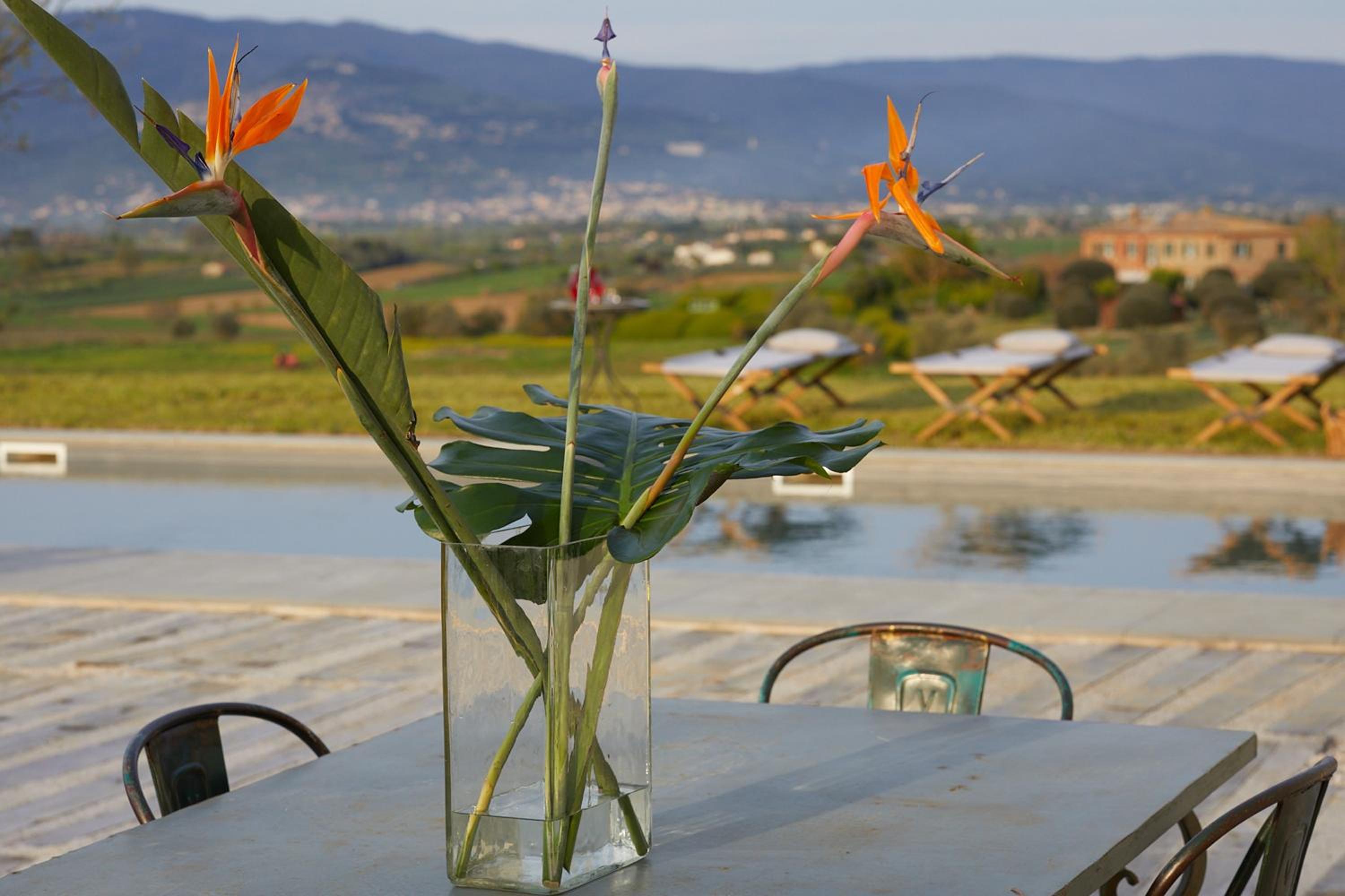 Villa Farneta by Mmega view 5