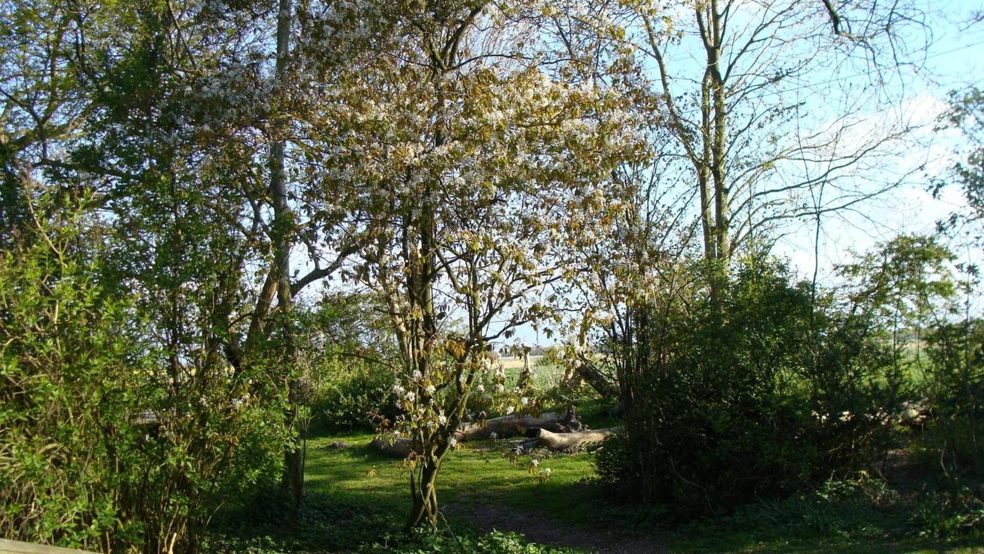 Ulfershausen