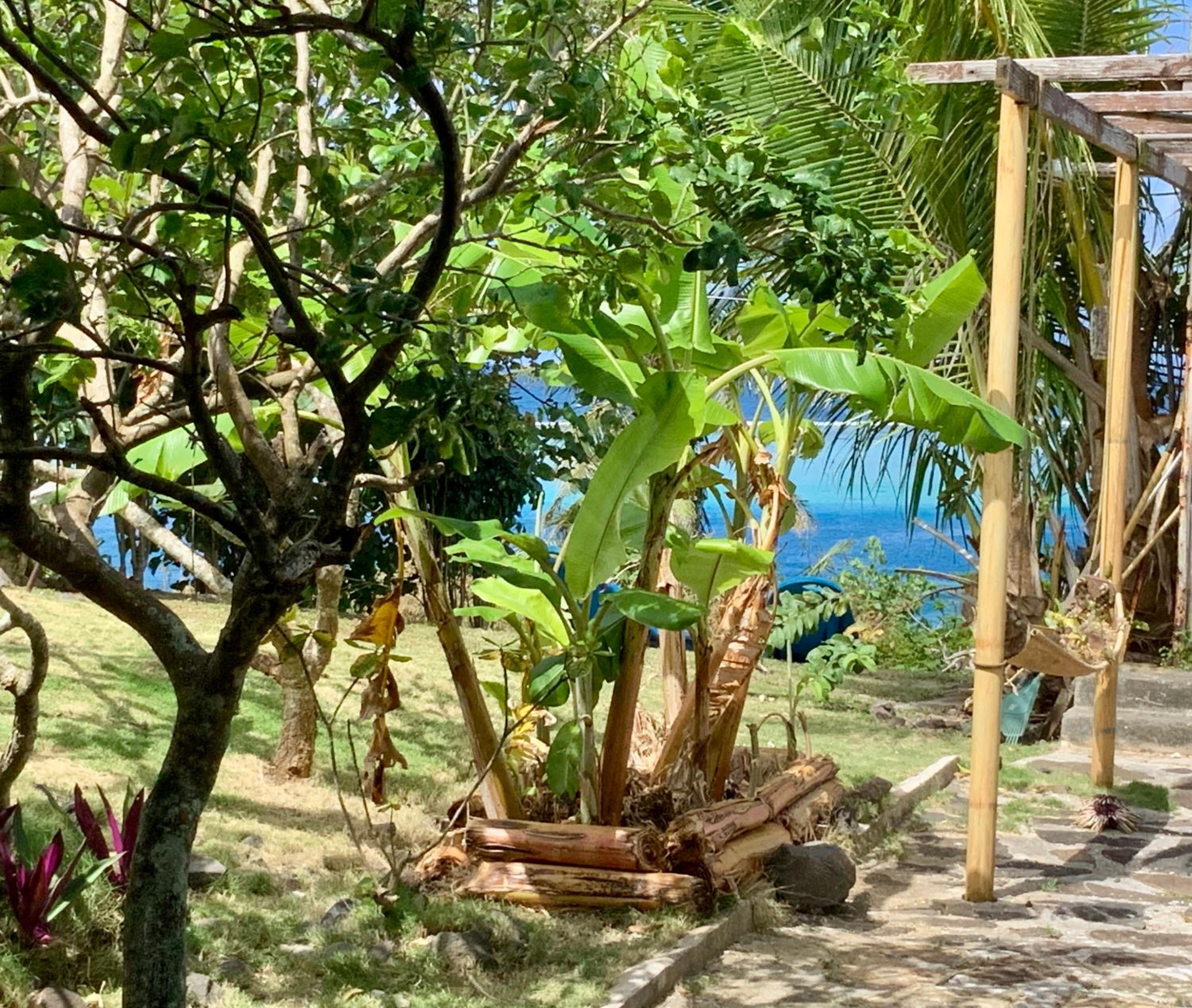 Maison avec vue exceptionnelle lagon et mer, accès privé lagon view 4