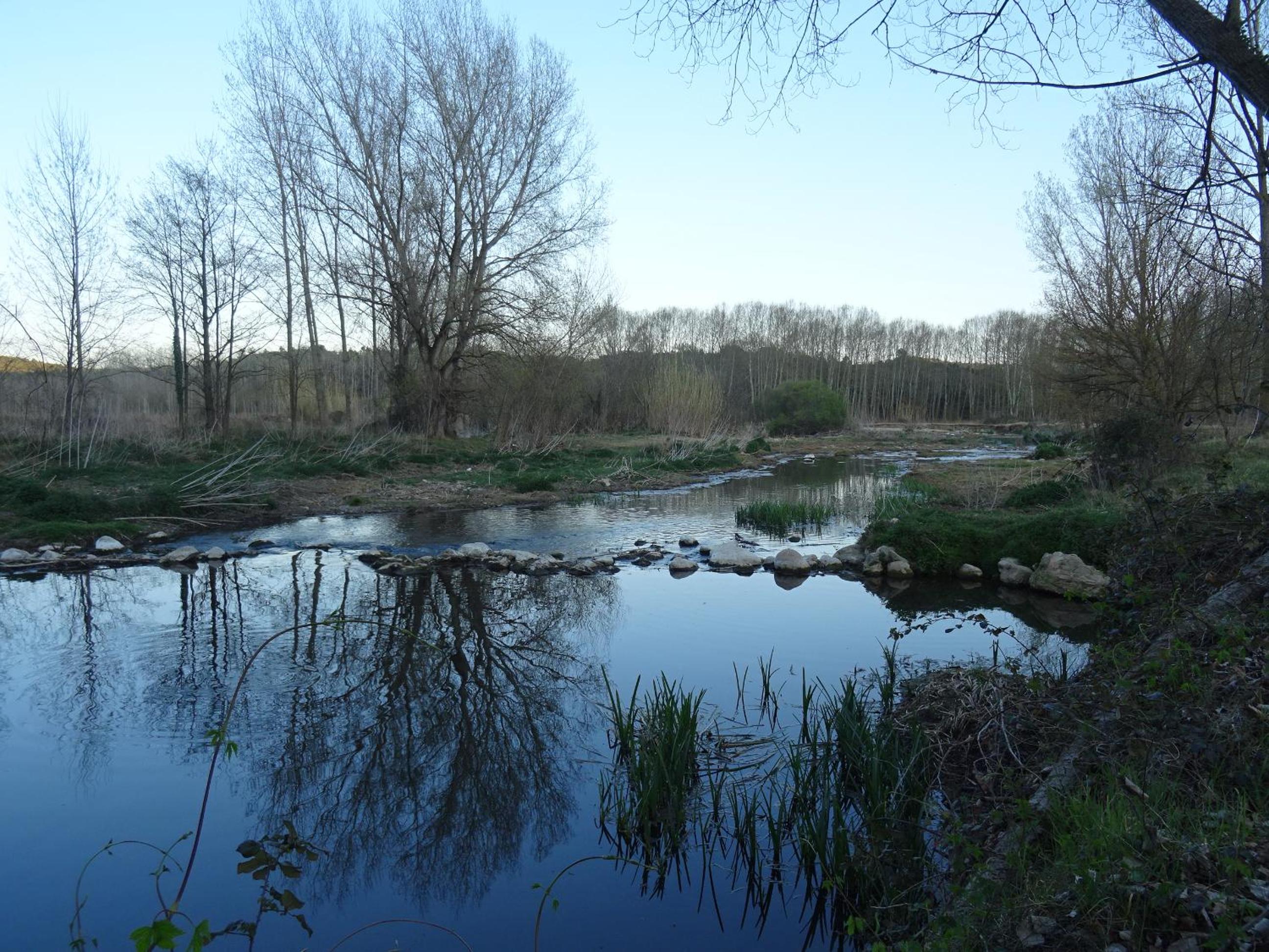 Photo 33