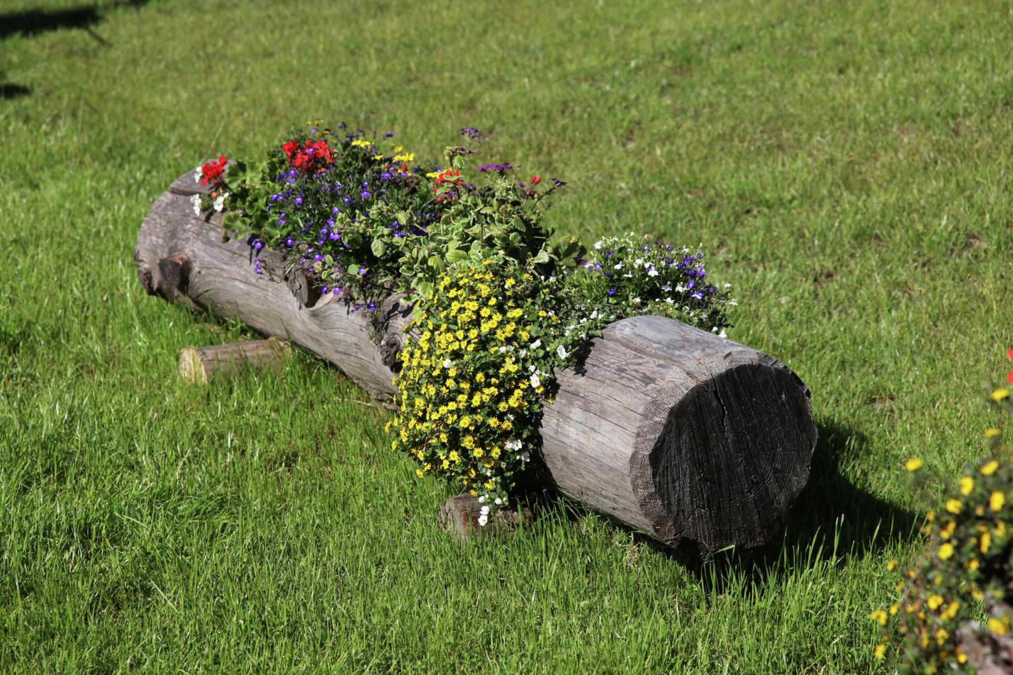 Photo 20