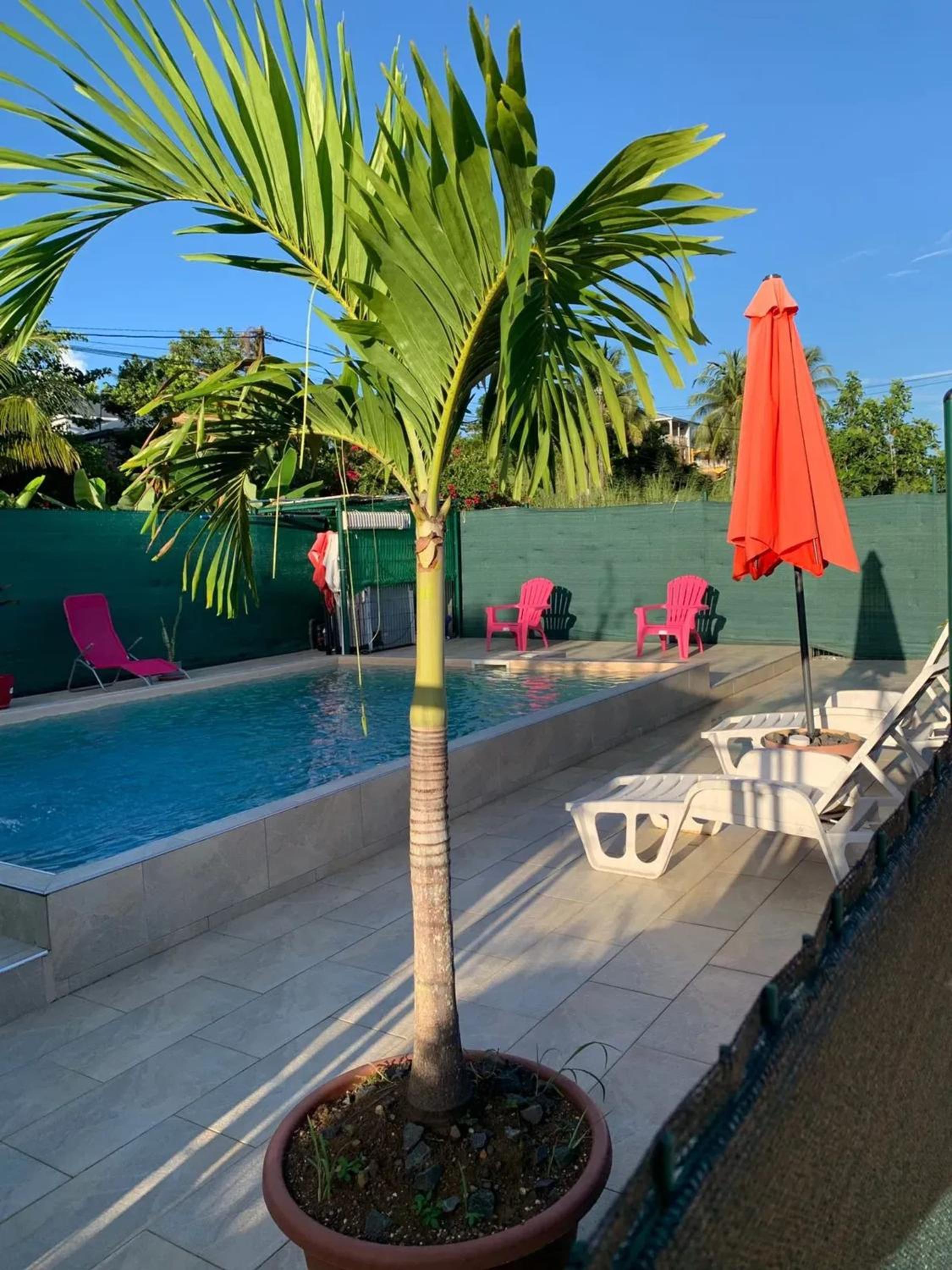 Maison de charme à Petit Bourg avec piscine partagée