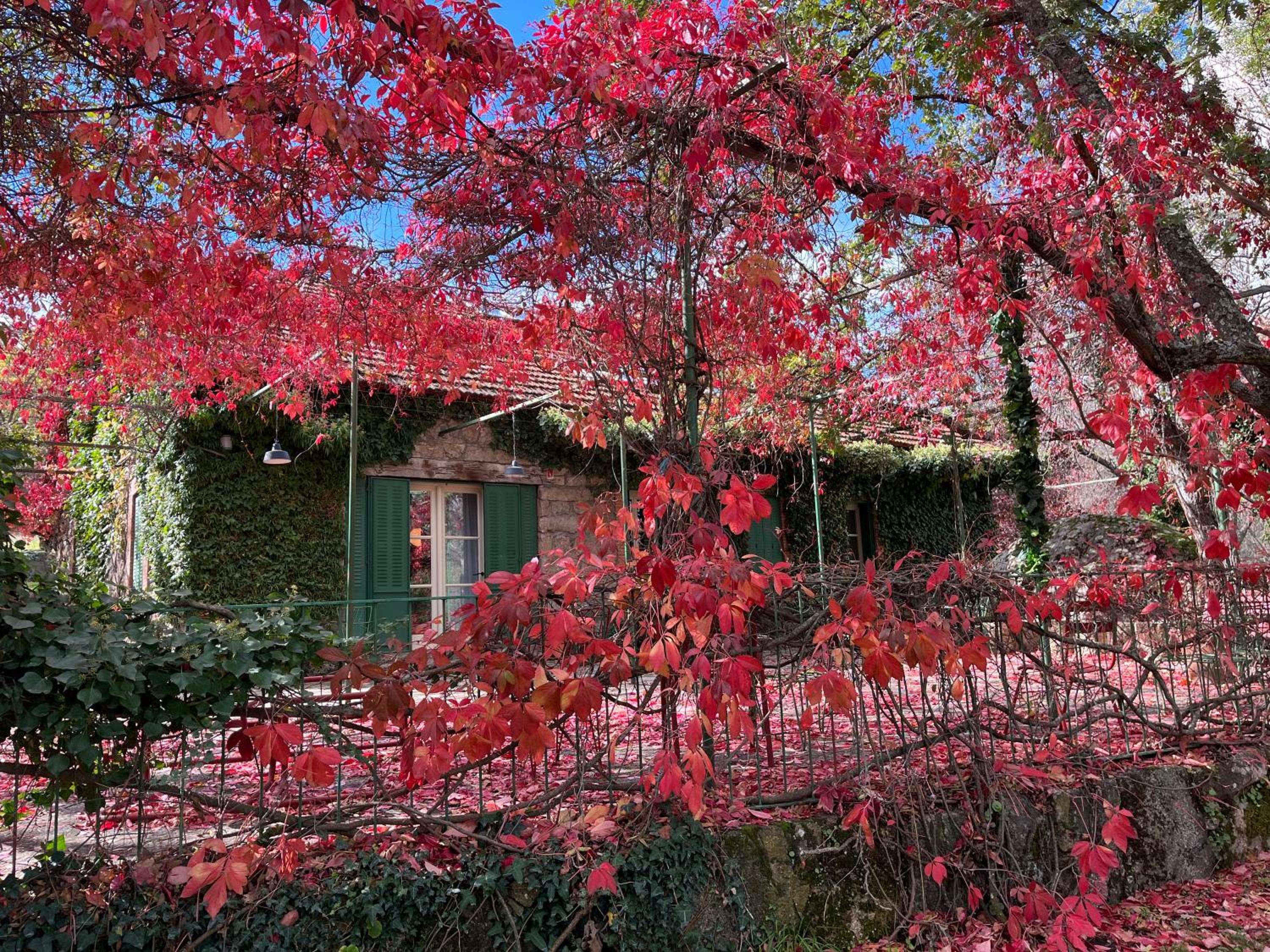 Finca La Machota Centro de Naturaleza