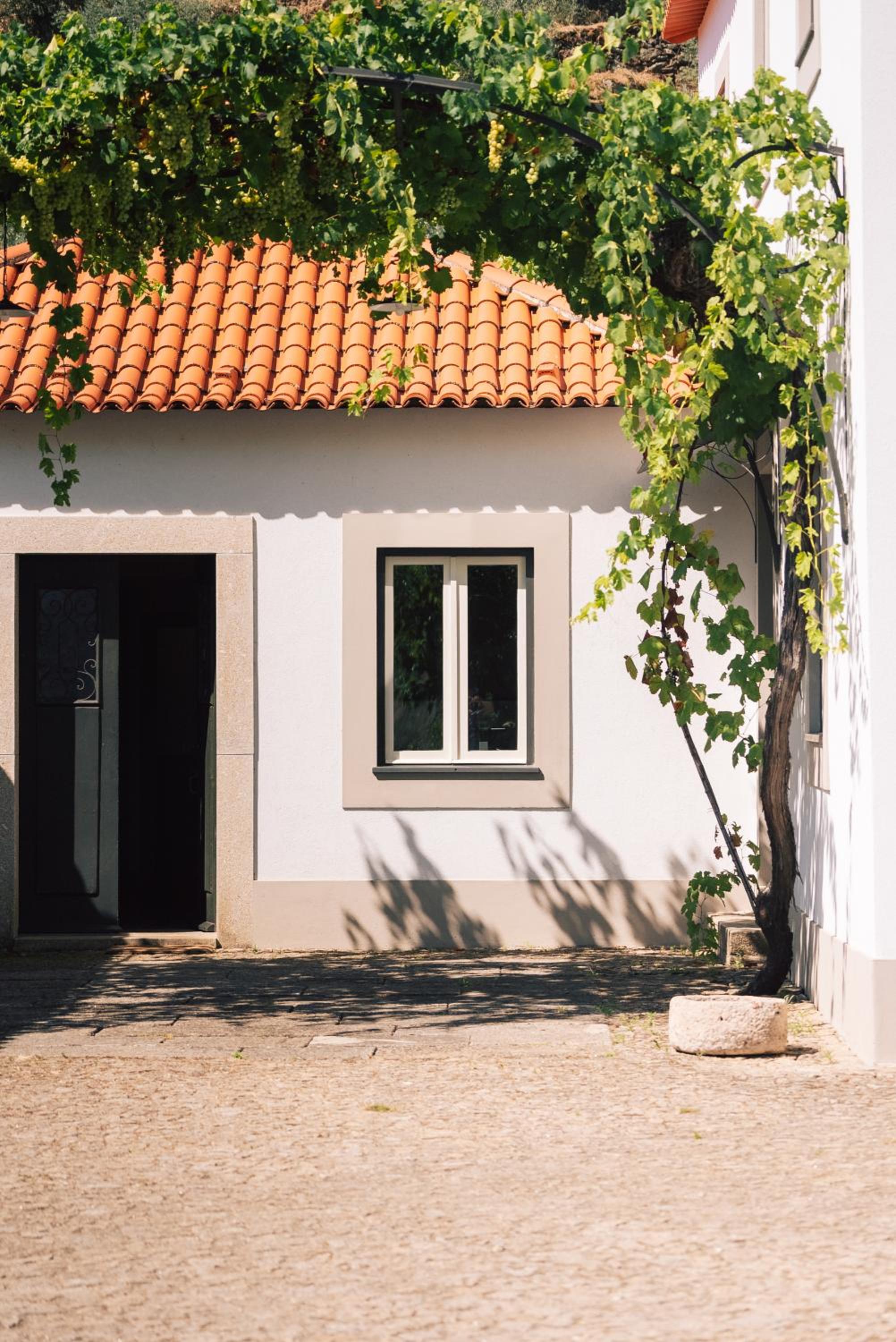 Wine Tourism - Quinta dos Murças view 3