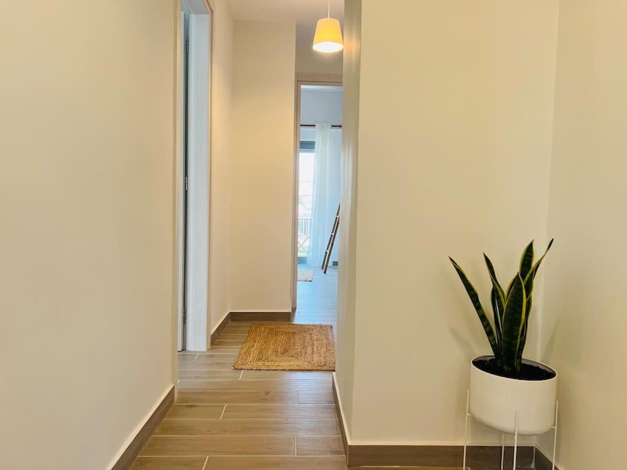 The Penthouse Private Jacuzzi & Lycabettus View photo 5