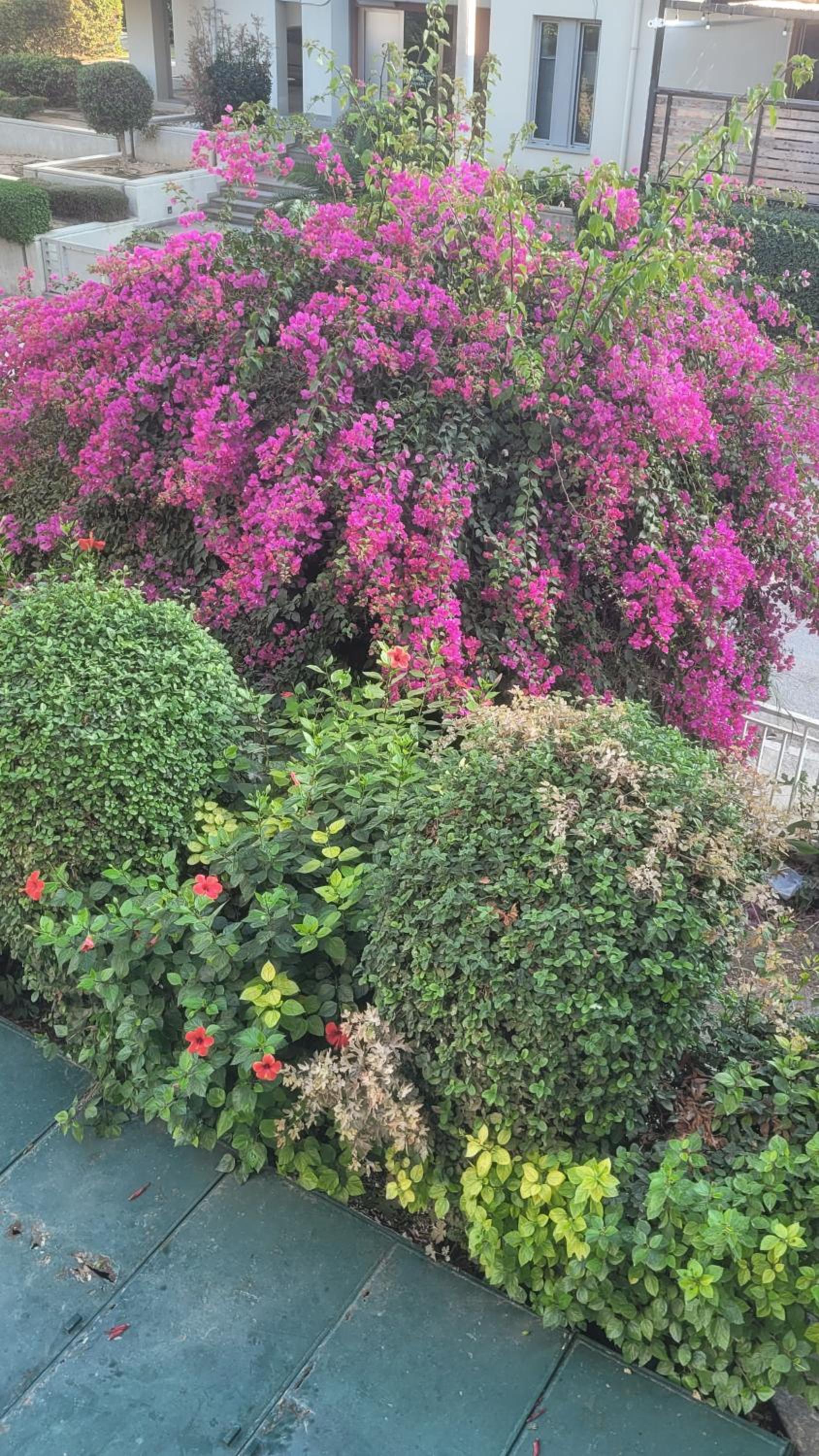 Porto Rafti Apartment view 5