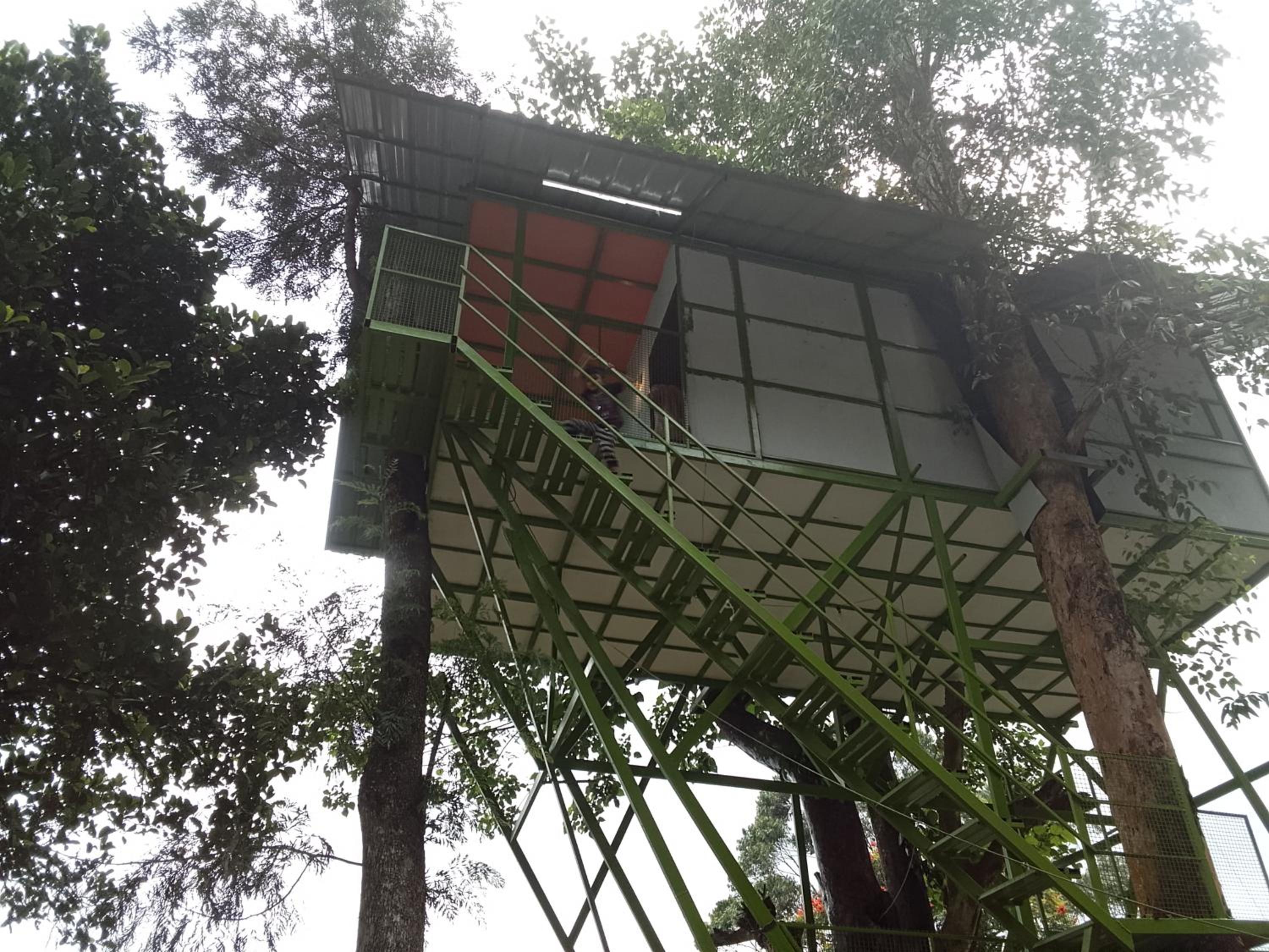 Freedom Resorts