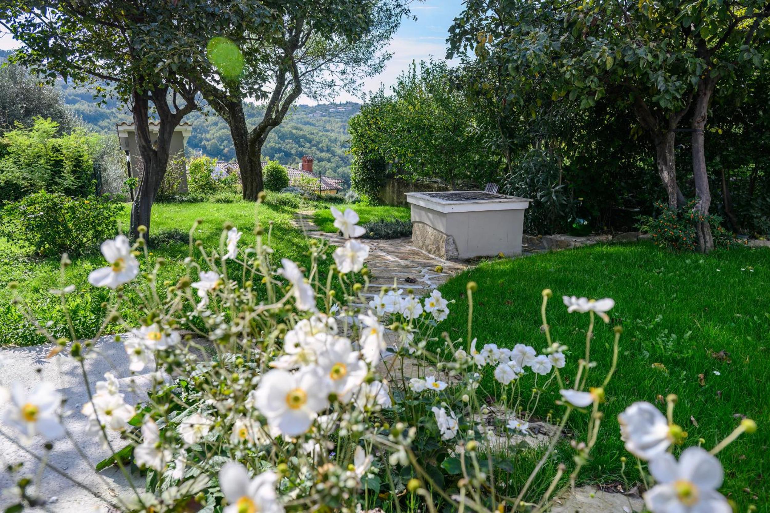 Villa Domenico