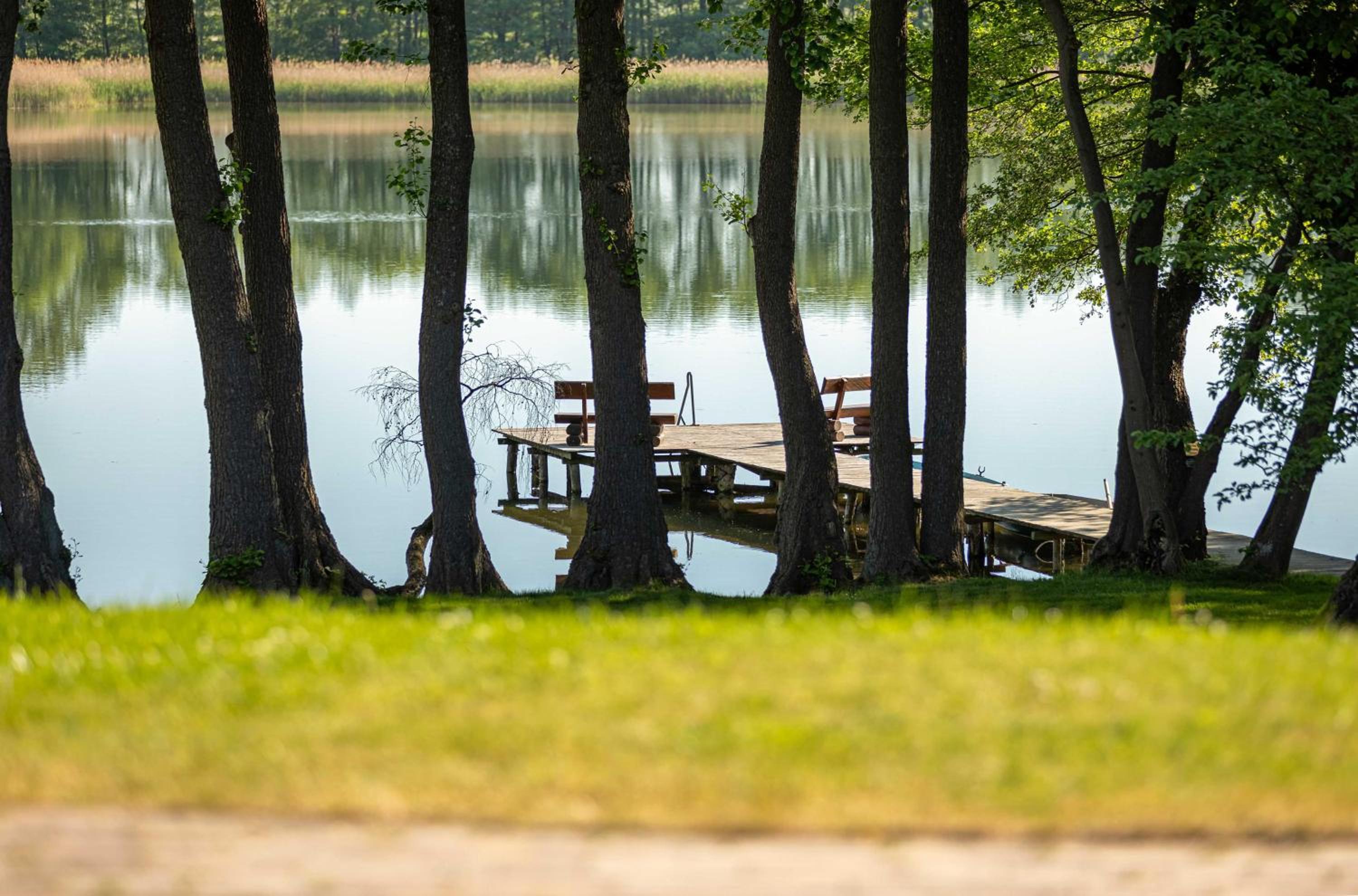 Wildgans - Stilvolles Ferienhaus mit Terrasse, Seeblick  Naturidylle am Loppiner See - Property Image 11