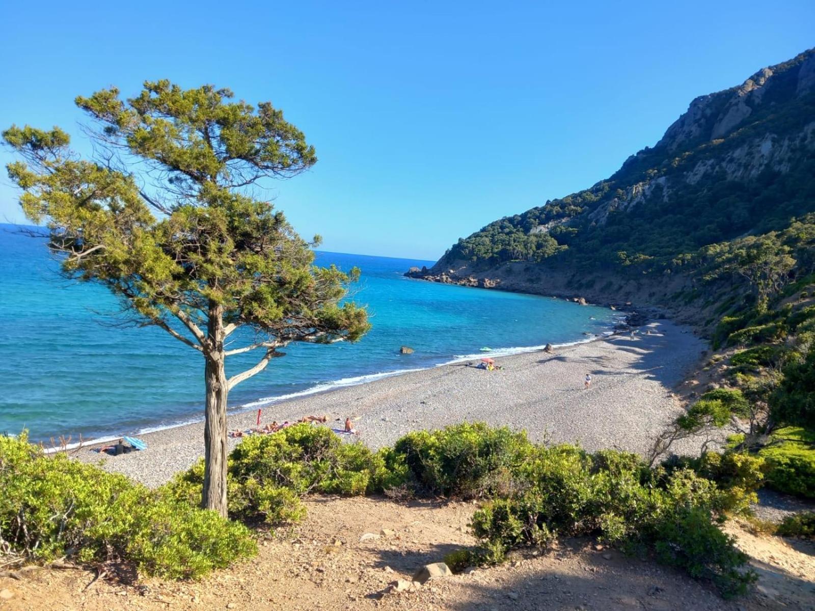 other