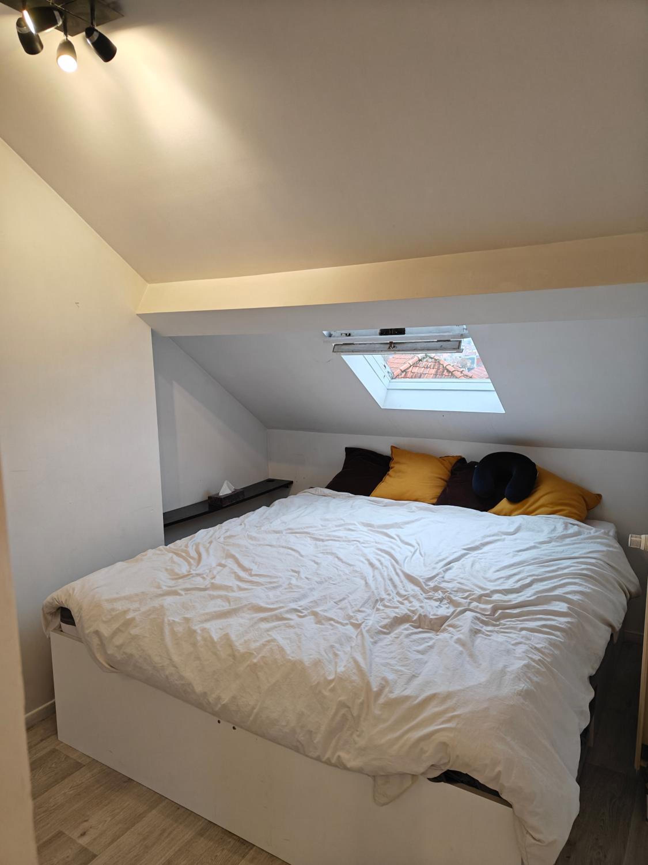 Acacia Etterbeek