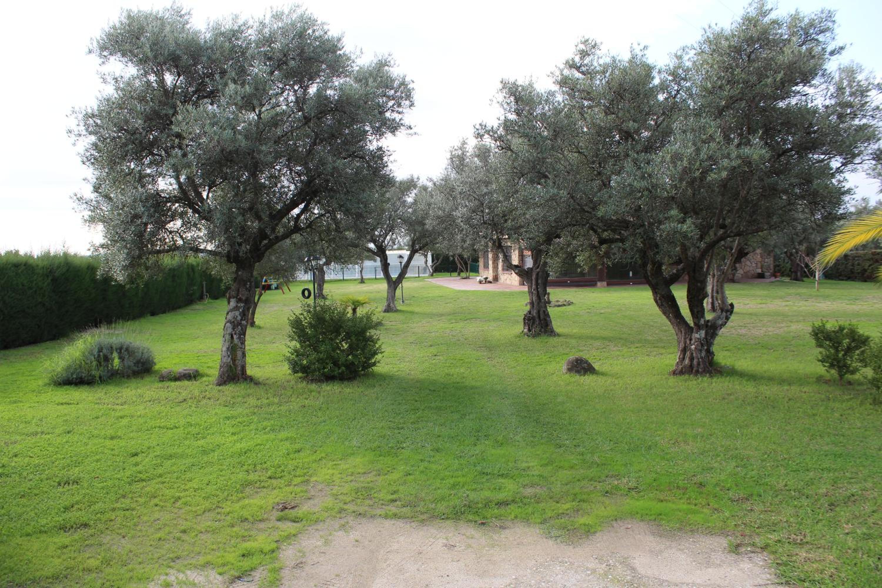 La Huertarrona