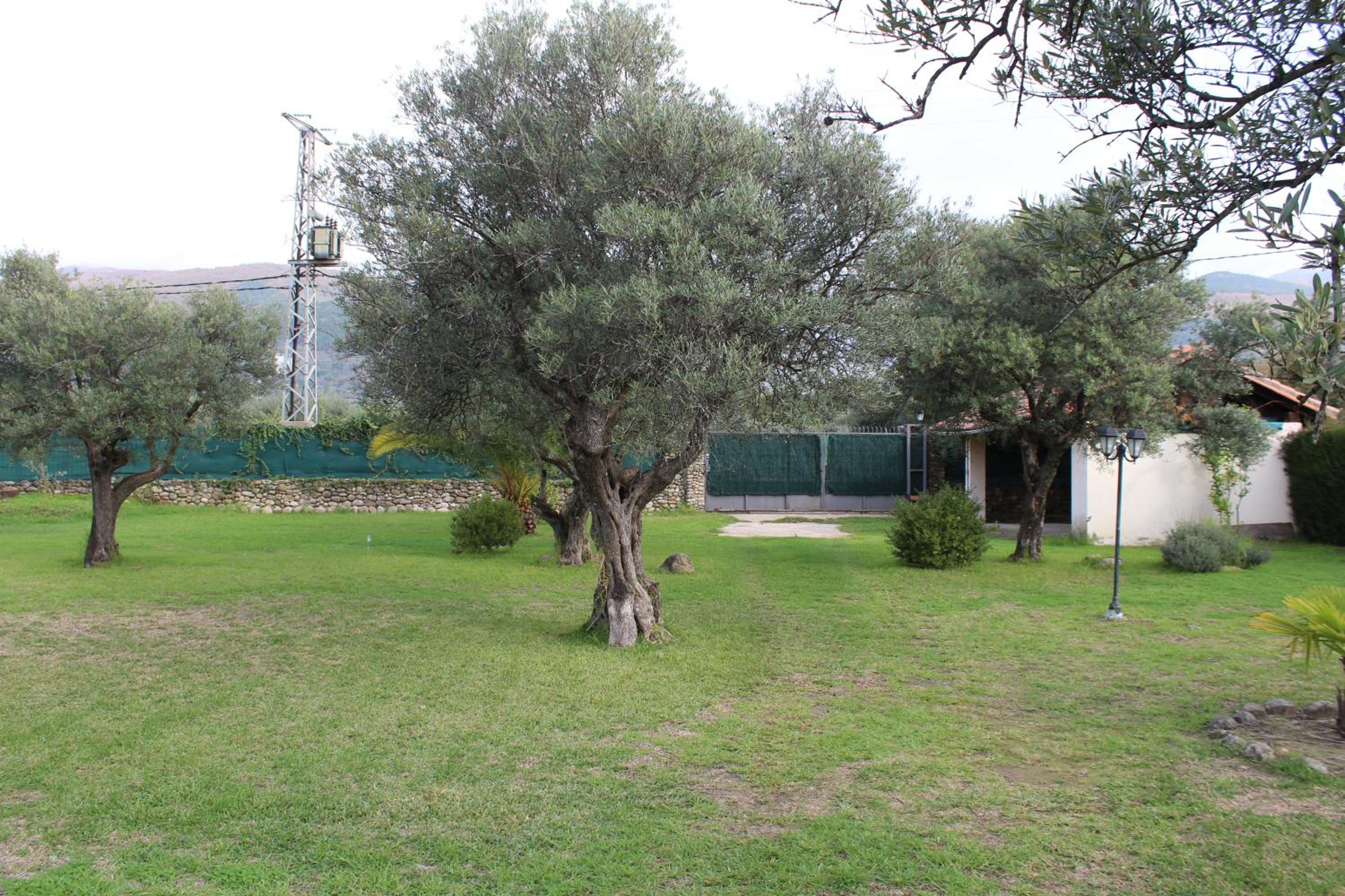 La Huertarrona