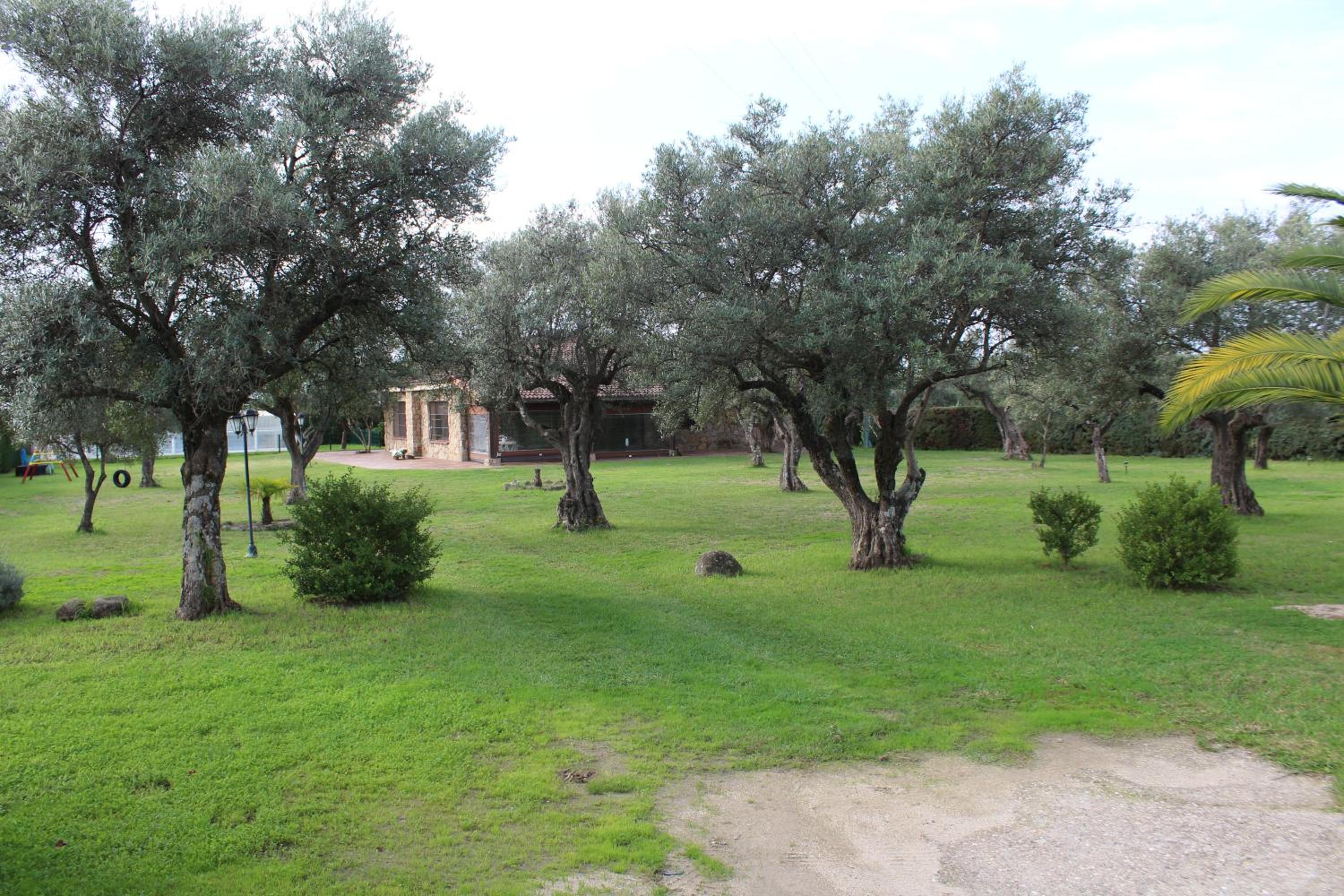 La Huertarrona