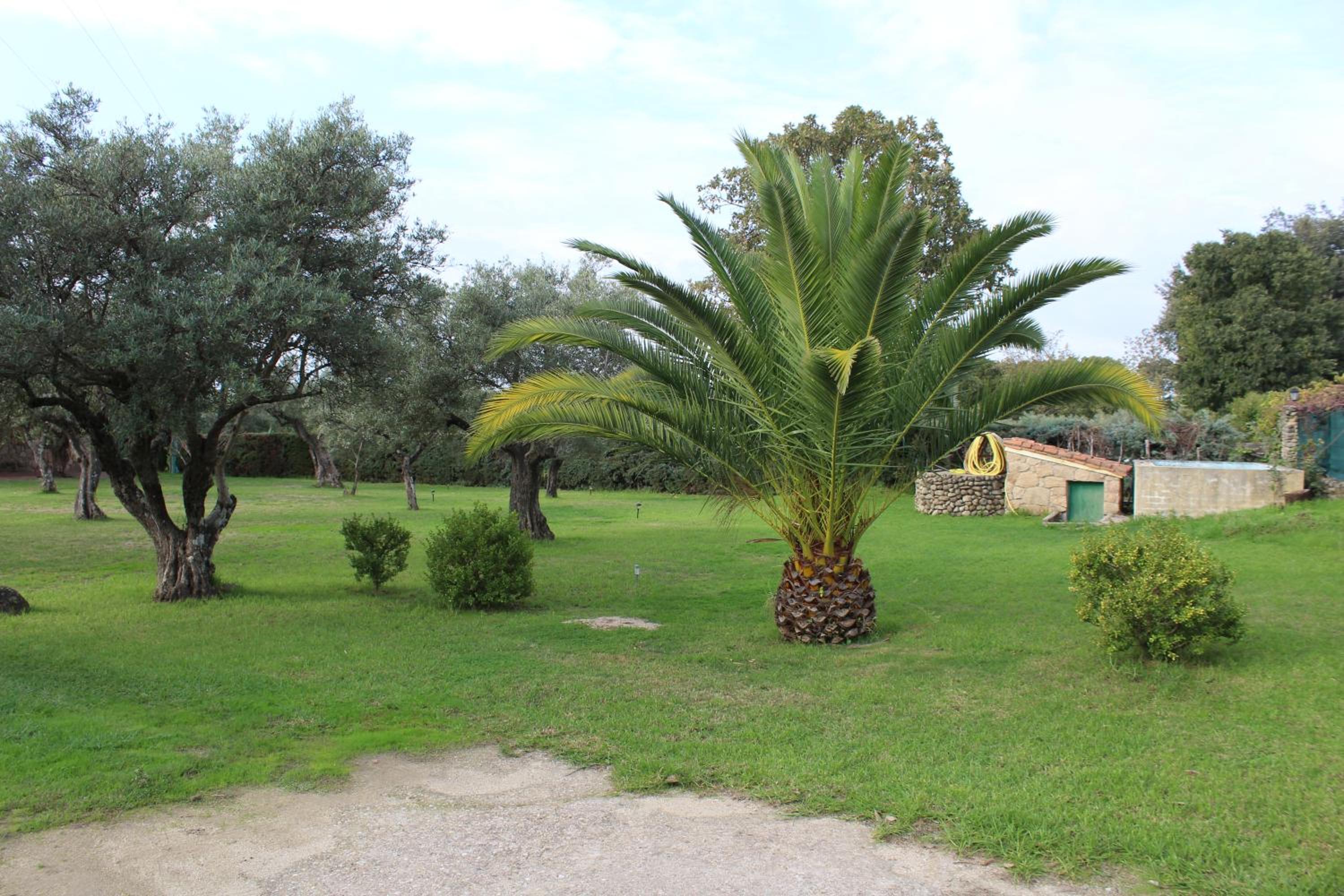 La Huertarrona