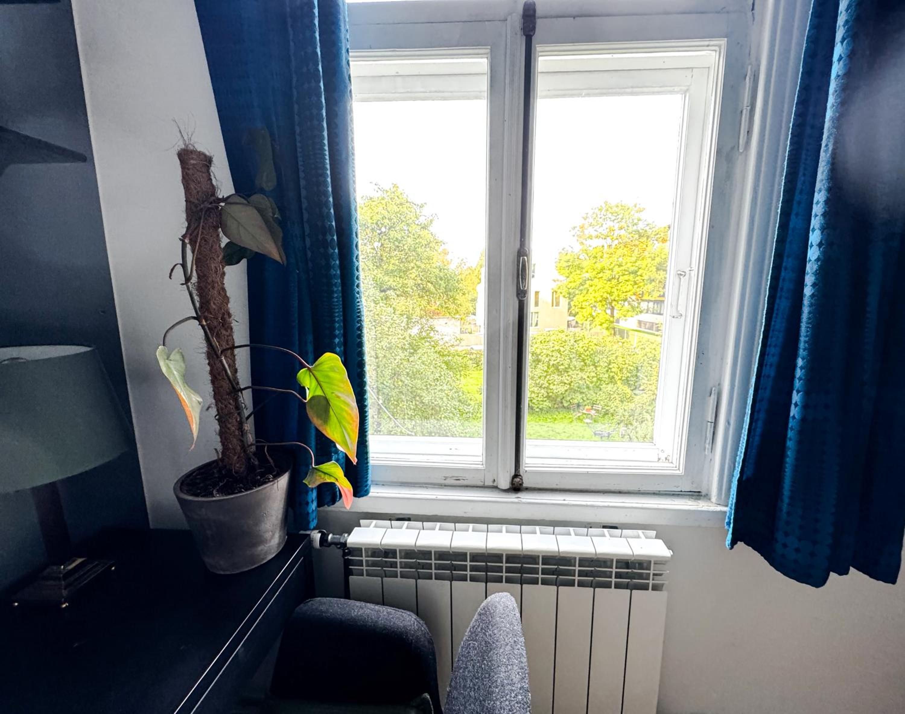 Cozy apartment in Tallinn