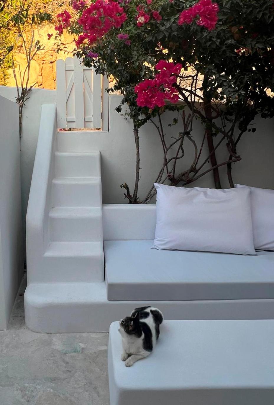 Sunset Deluxe Villa and Studios