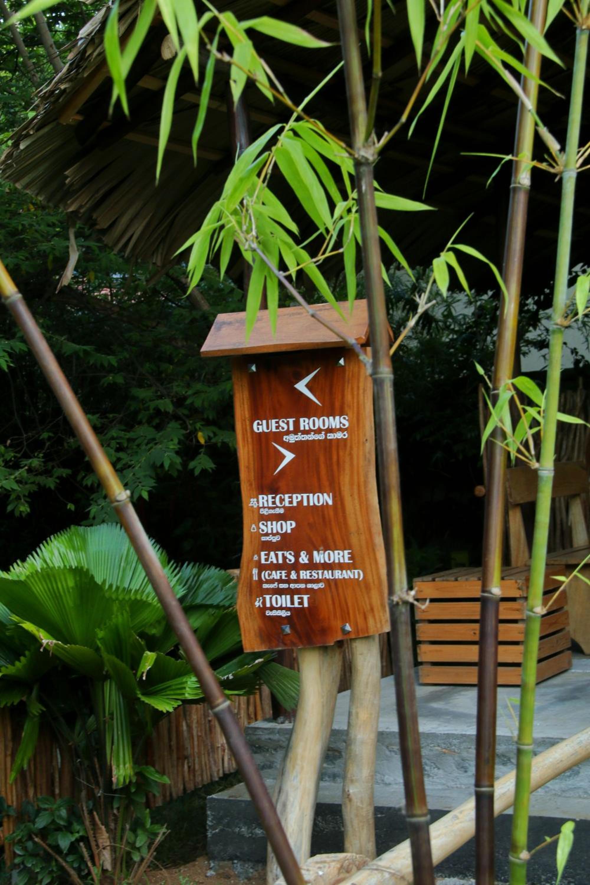 The Elephant Next-Door view 5