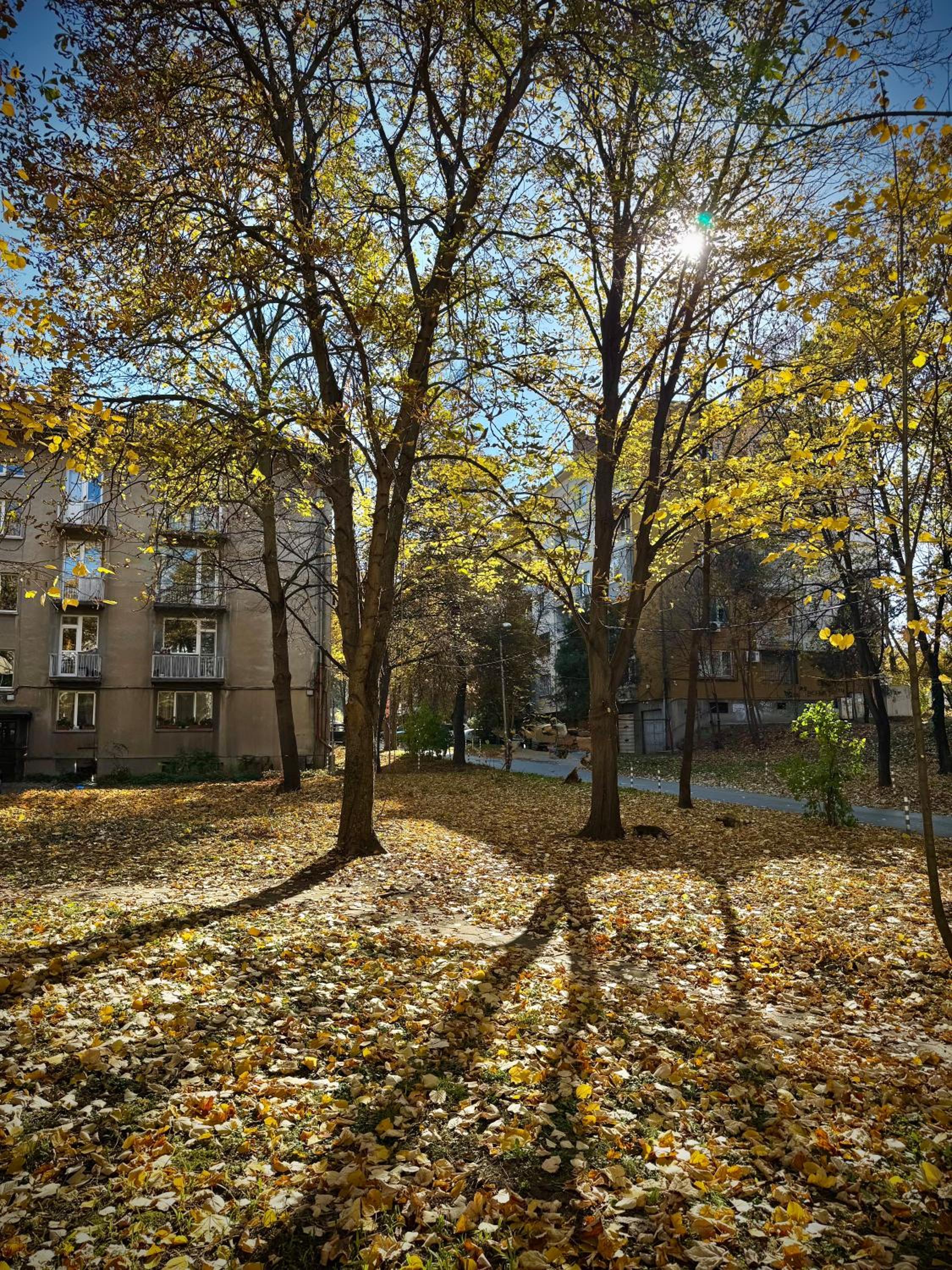 Cozy & Comfort Apartment for 4 Guests 10 minutes away from Sofia Centre