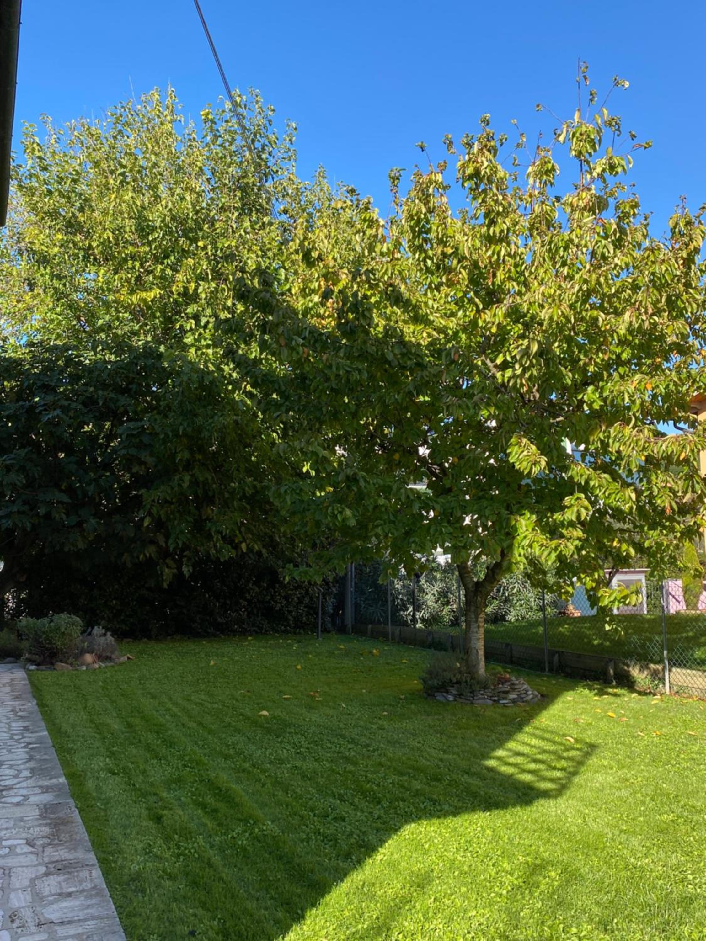 Appartamento Bimba in Toscana