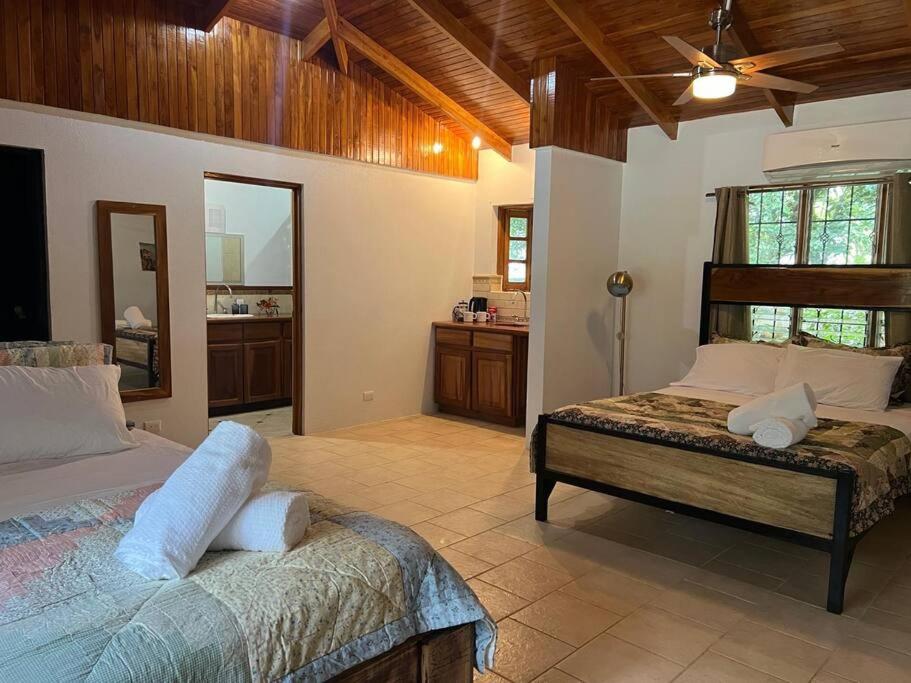 Casa Flamingo