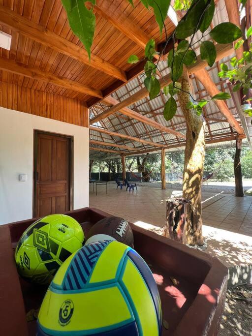 Casa Flamingo