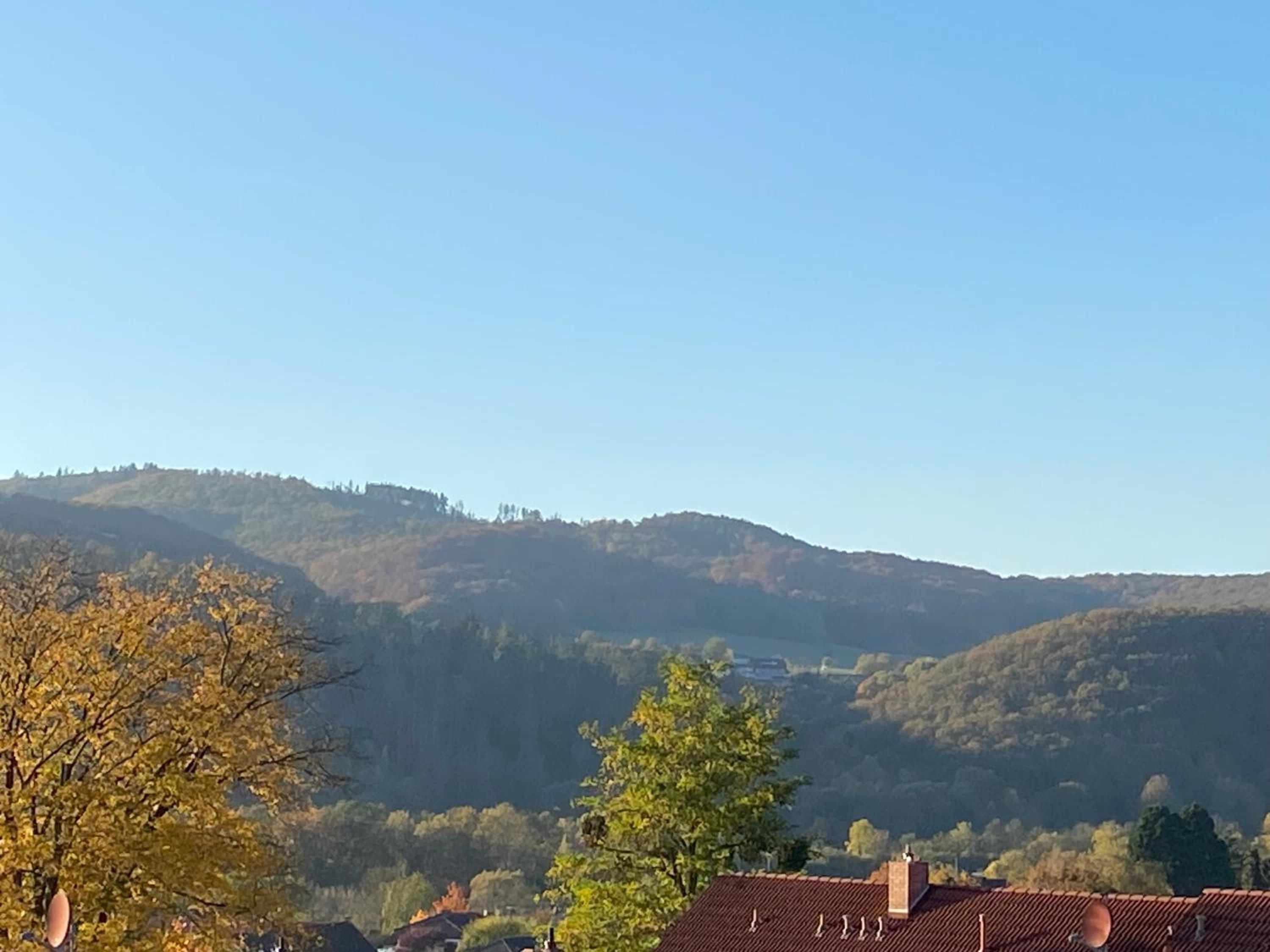 Villa Herzog