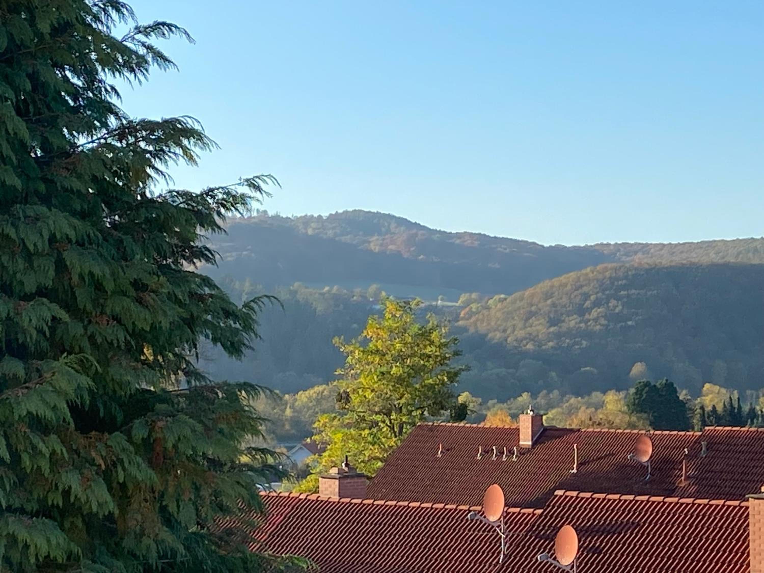 Villa Herzog