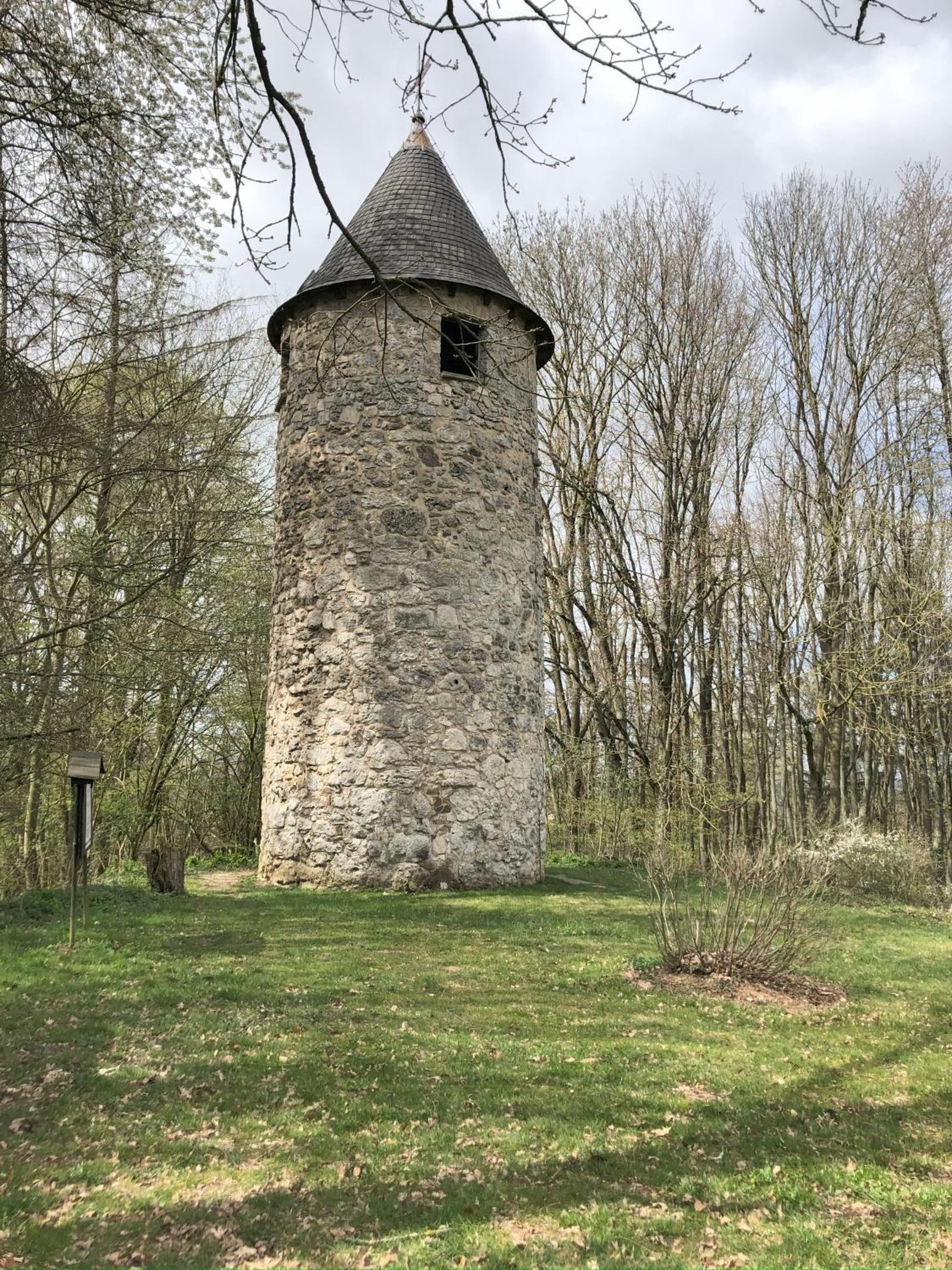 Photo 37