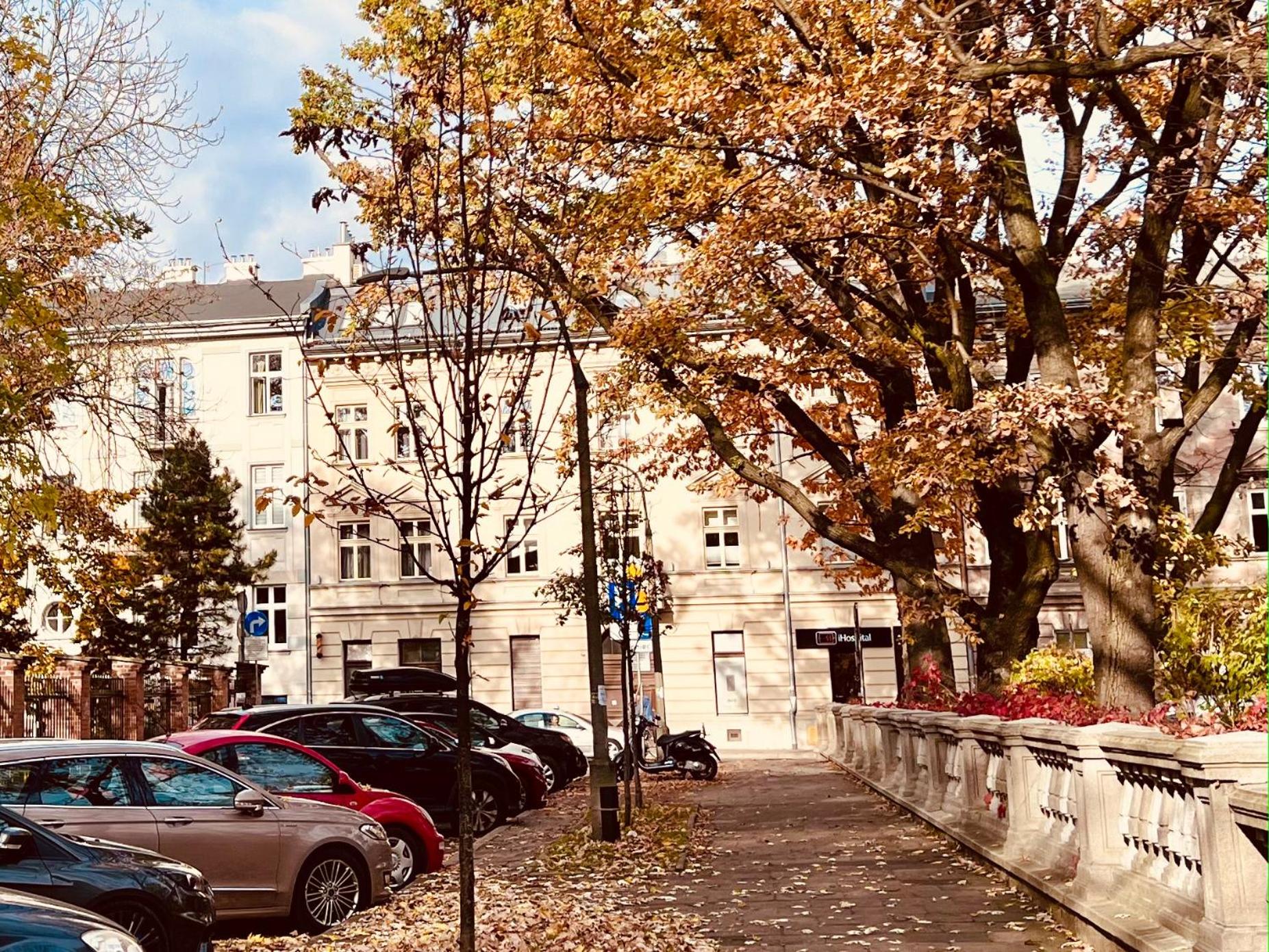 Krakow Central Apartments