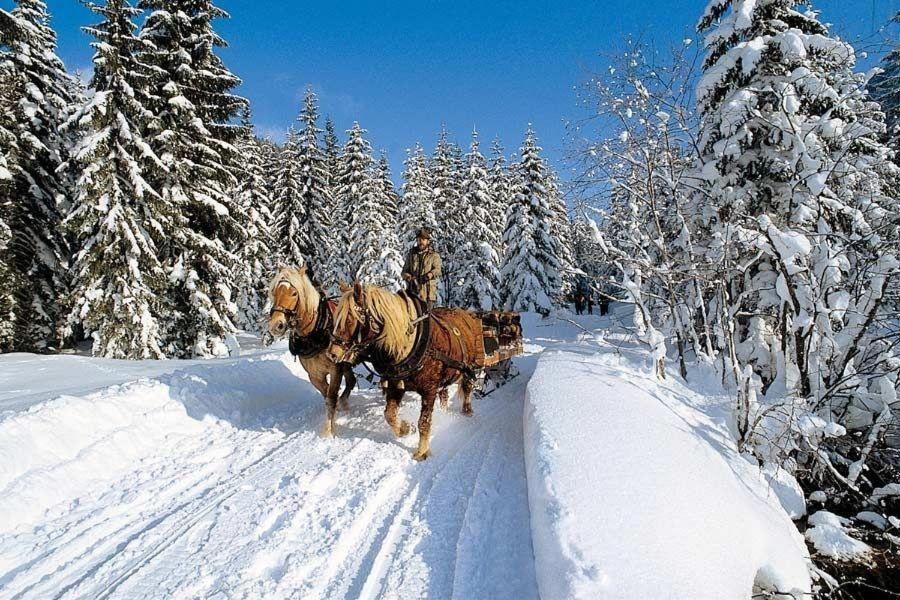 Wohlfuehl-Chalet-Alpengloeckchen