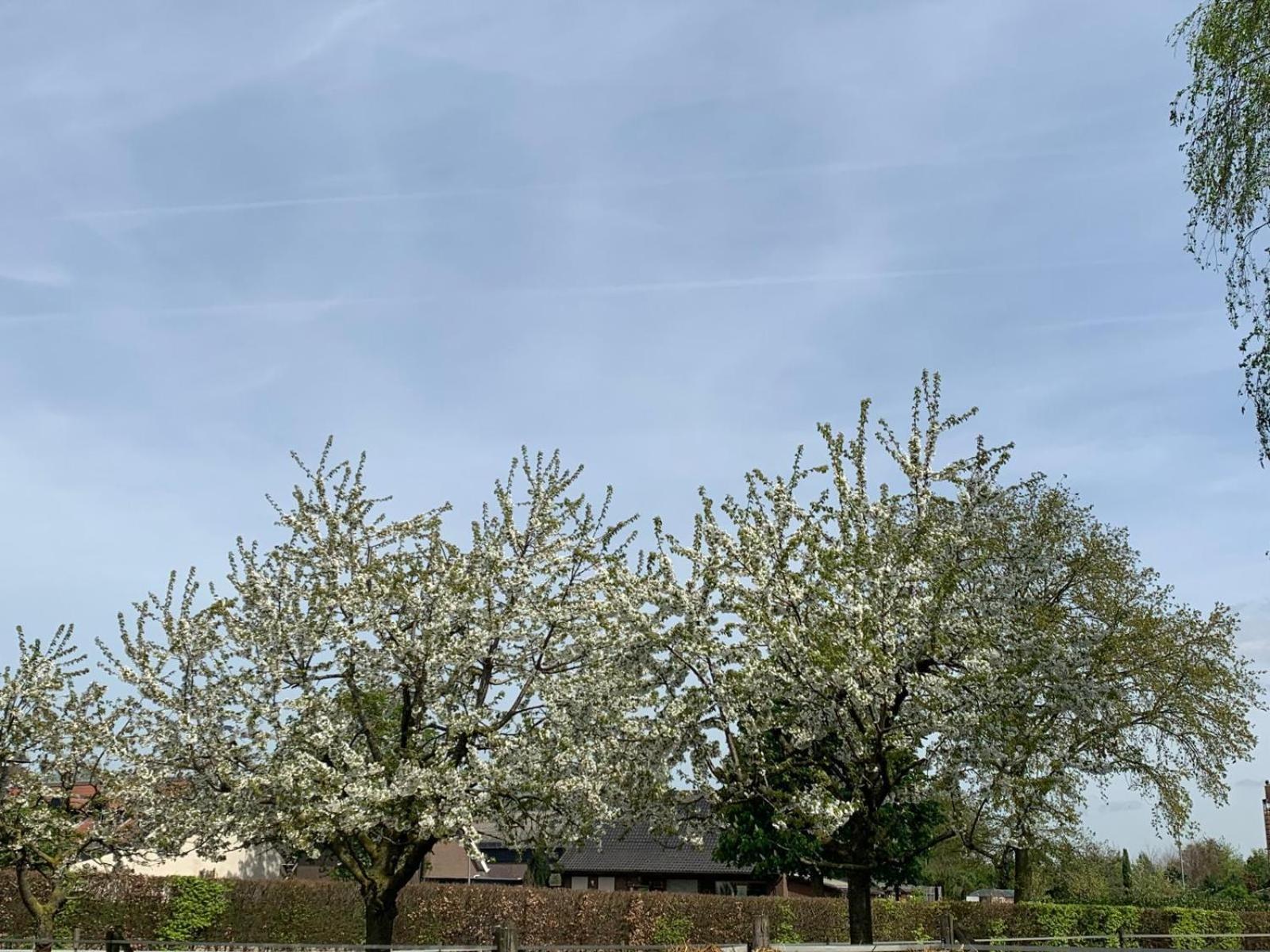Sams Cottage en Roermond