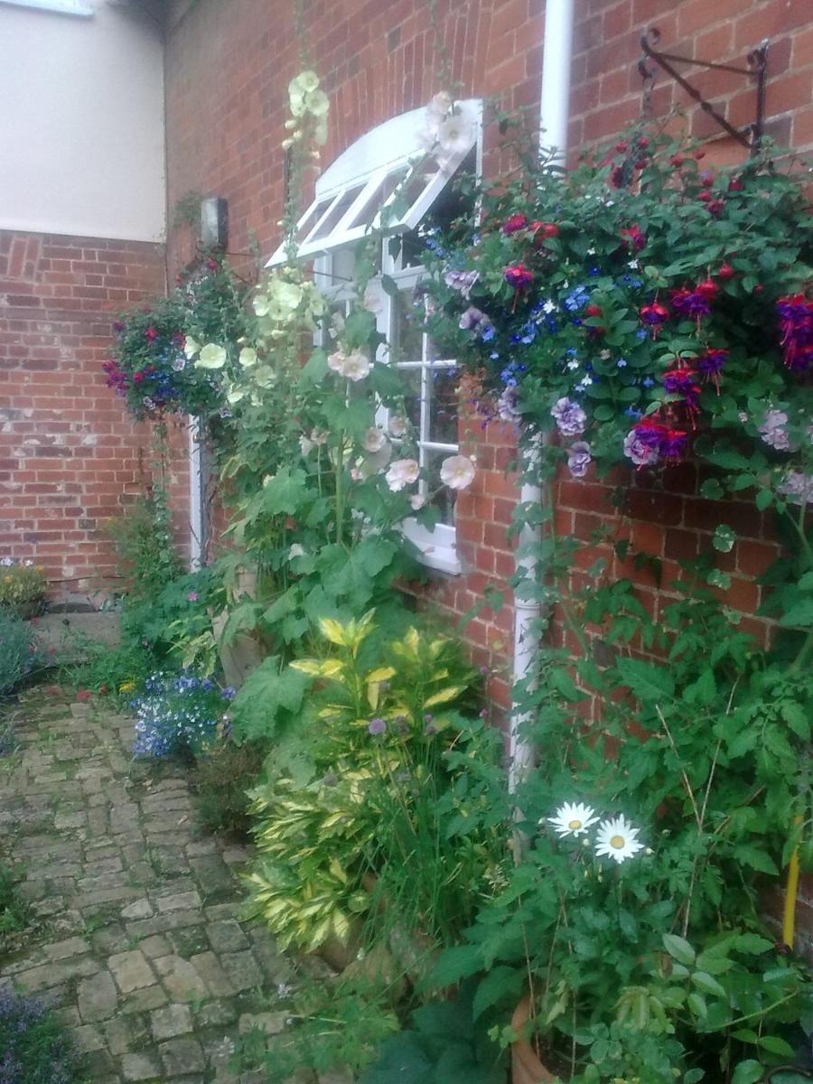 Photo 17