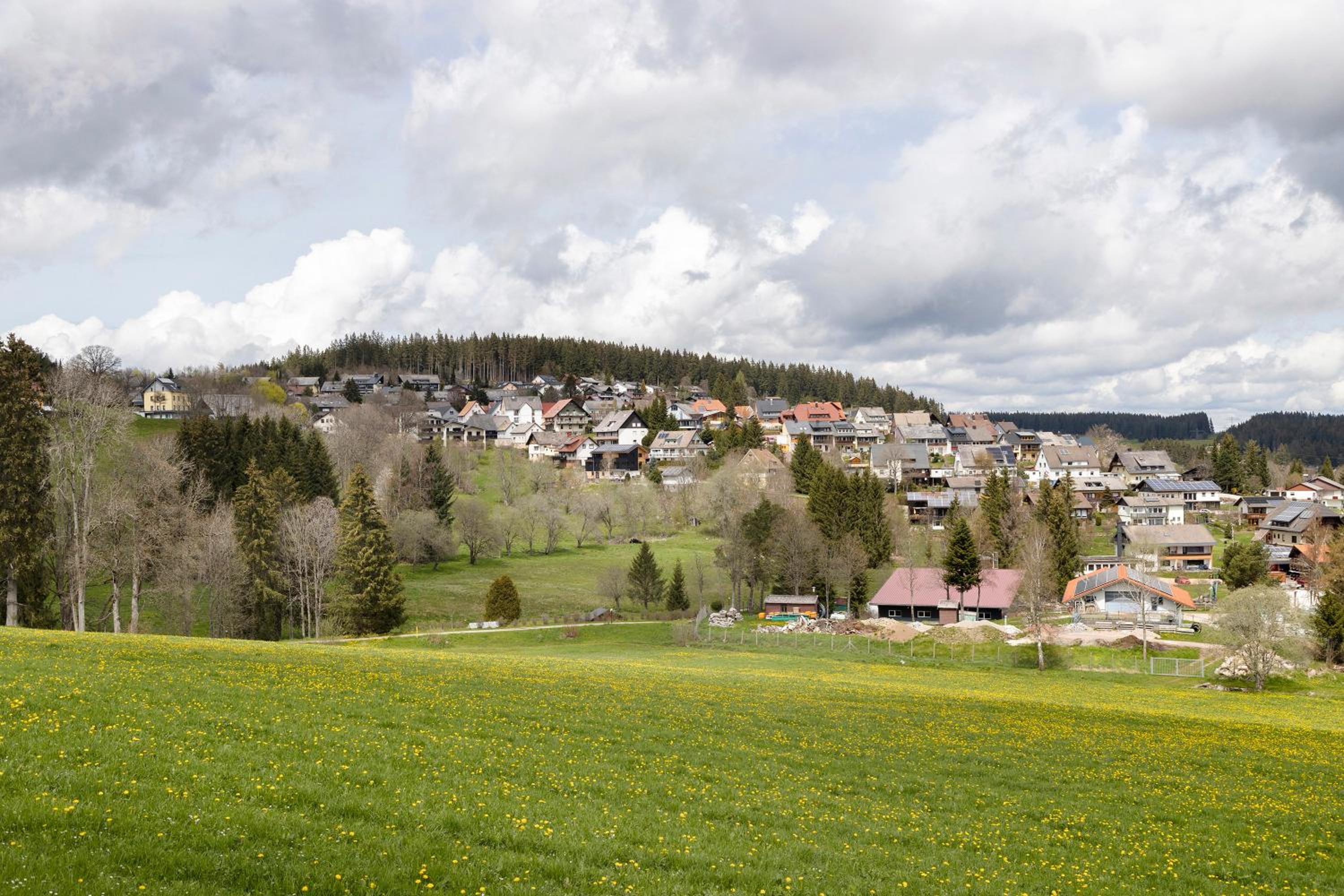 Ferienwohnung Sohnrey view 3