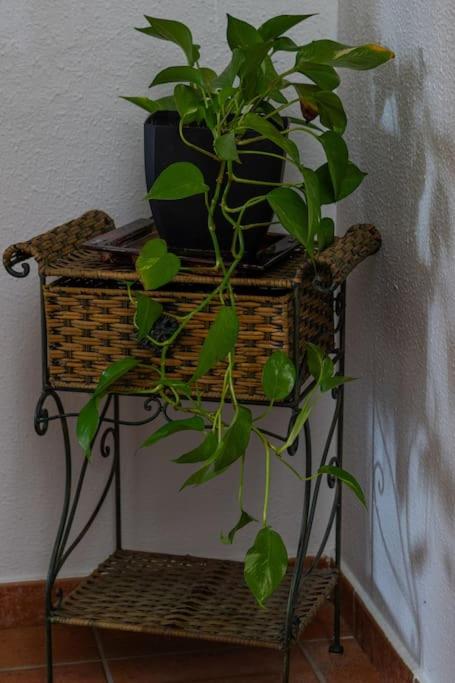 Casa los toriles