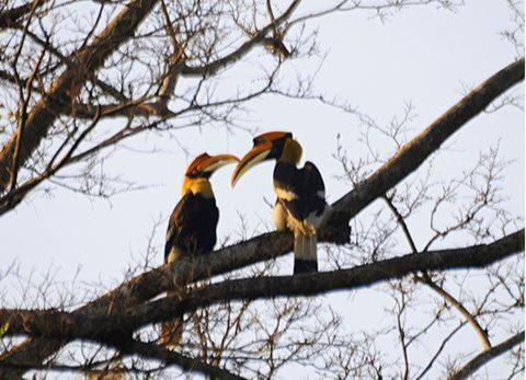 Sparrow Nest Corbett