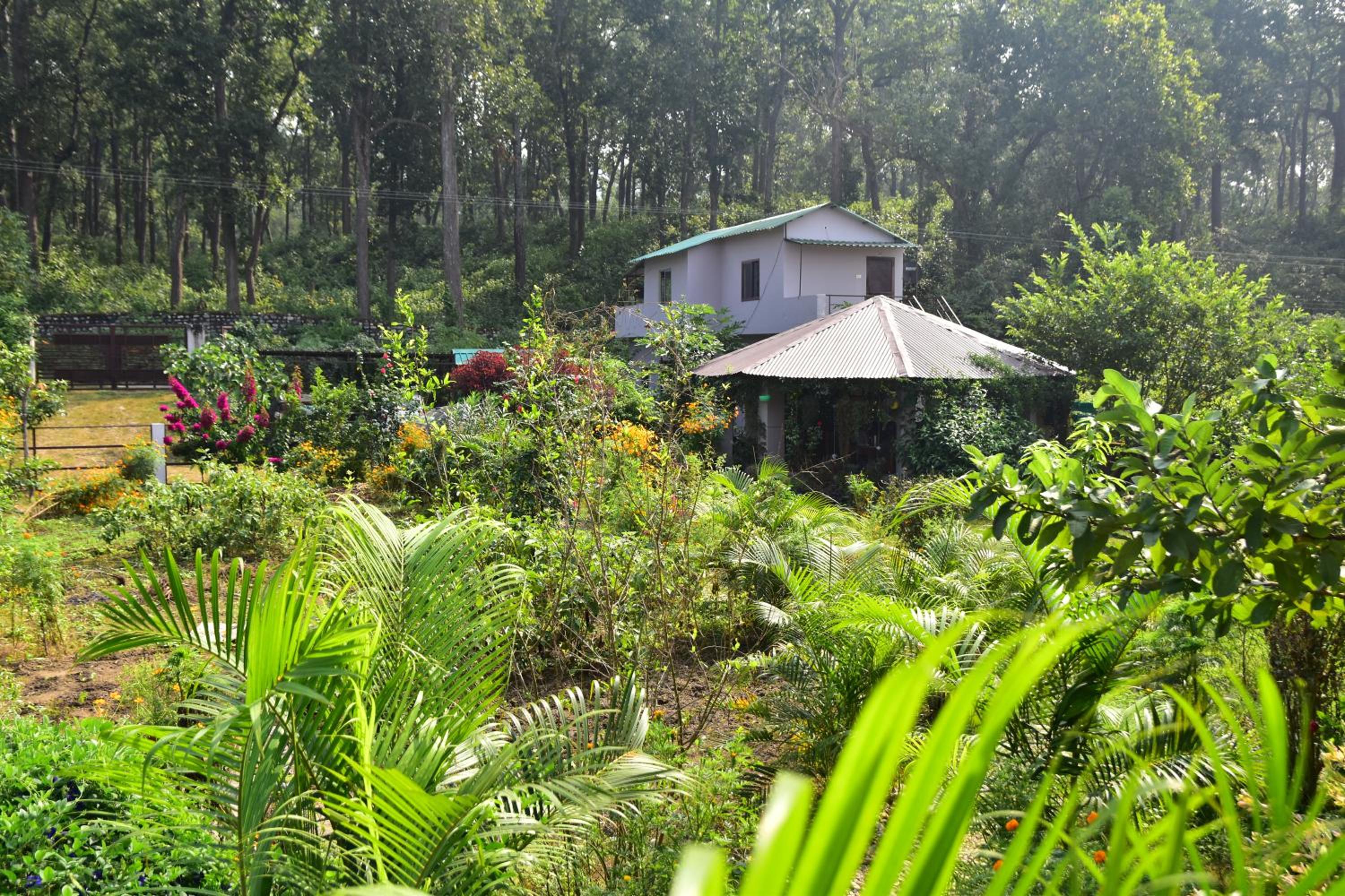 Sparrow Nest Corbett