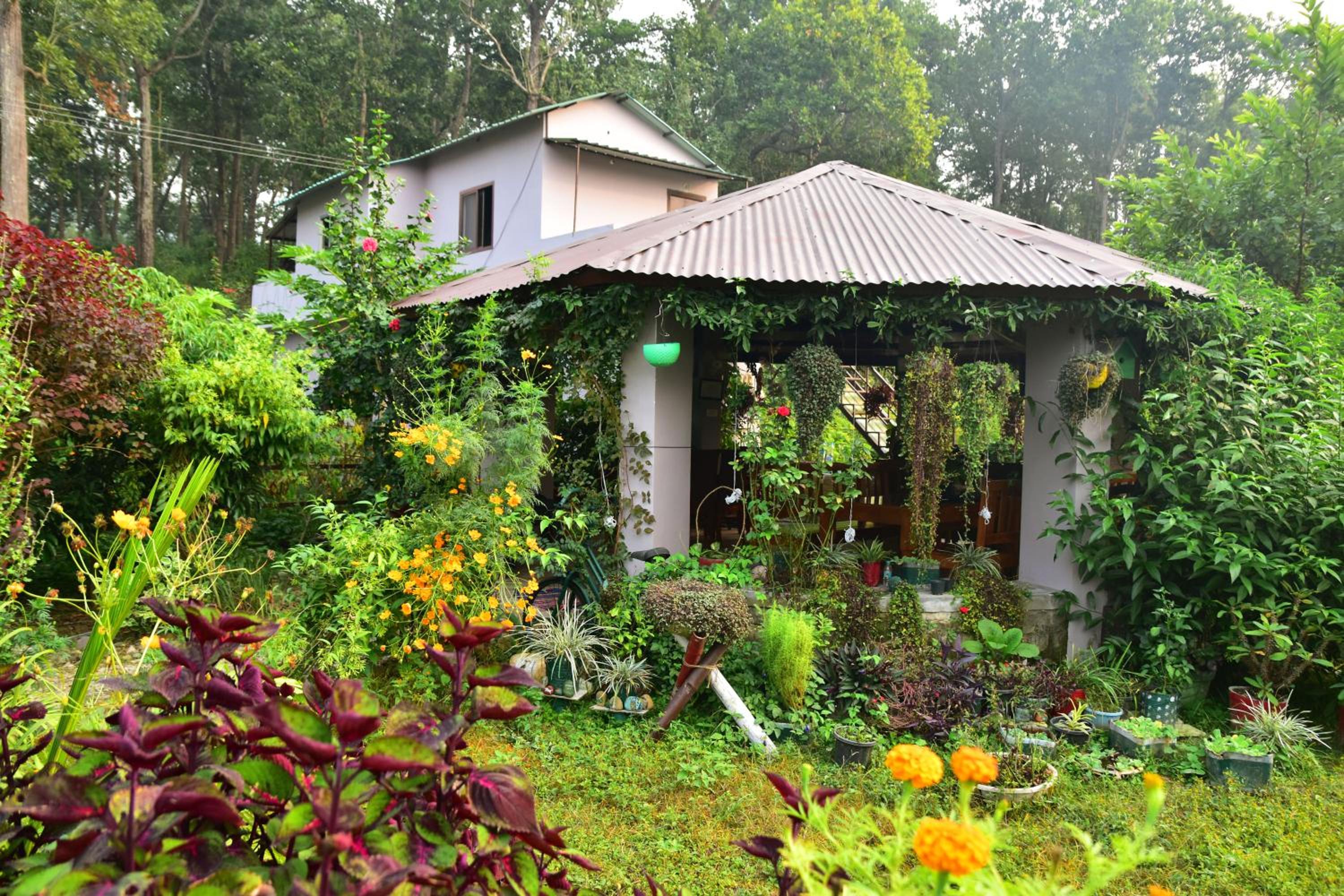 Sparrow Nest Corbett
