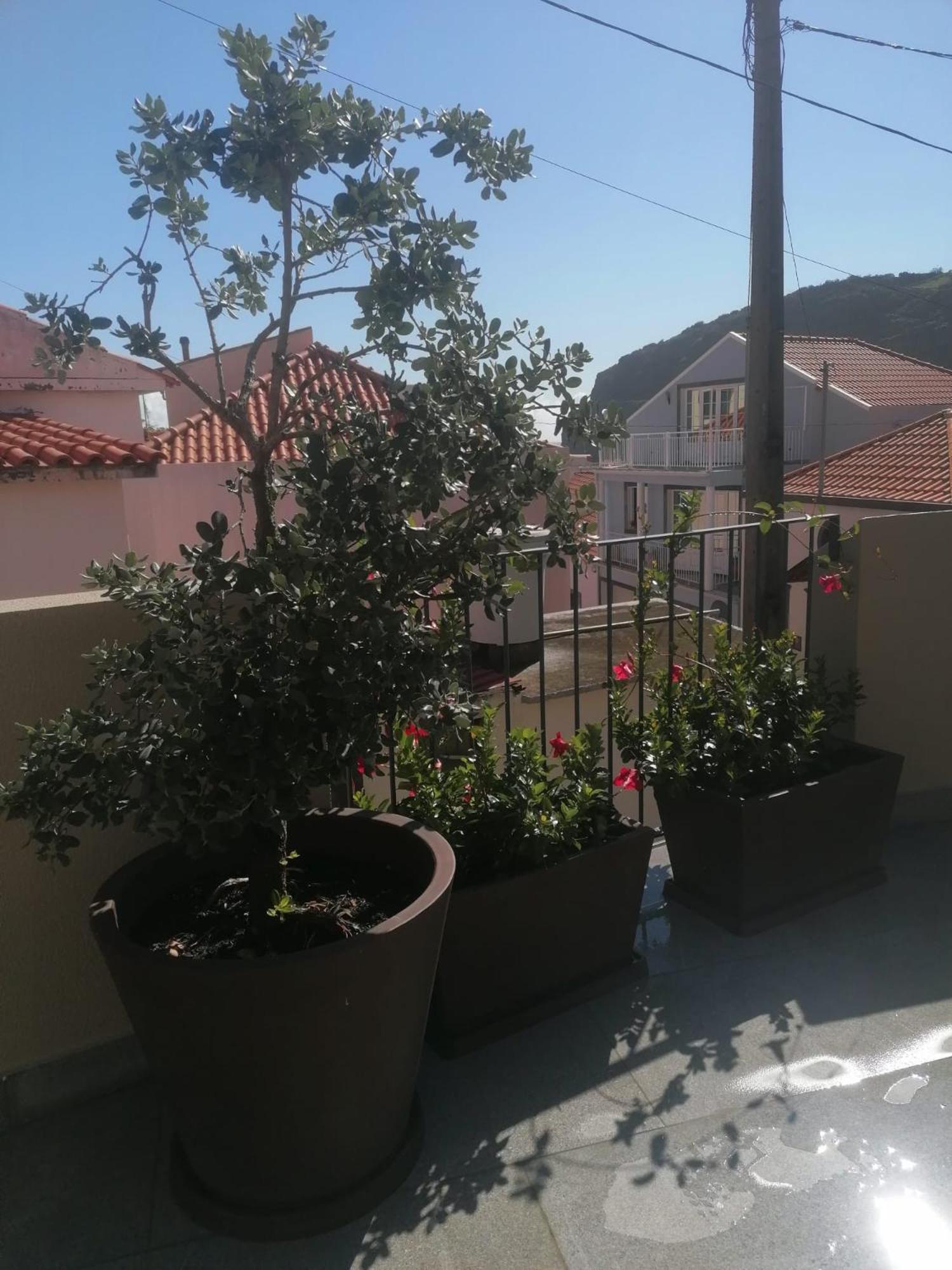Favinha Rooftop