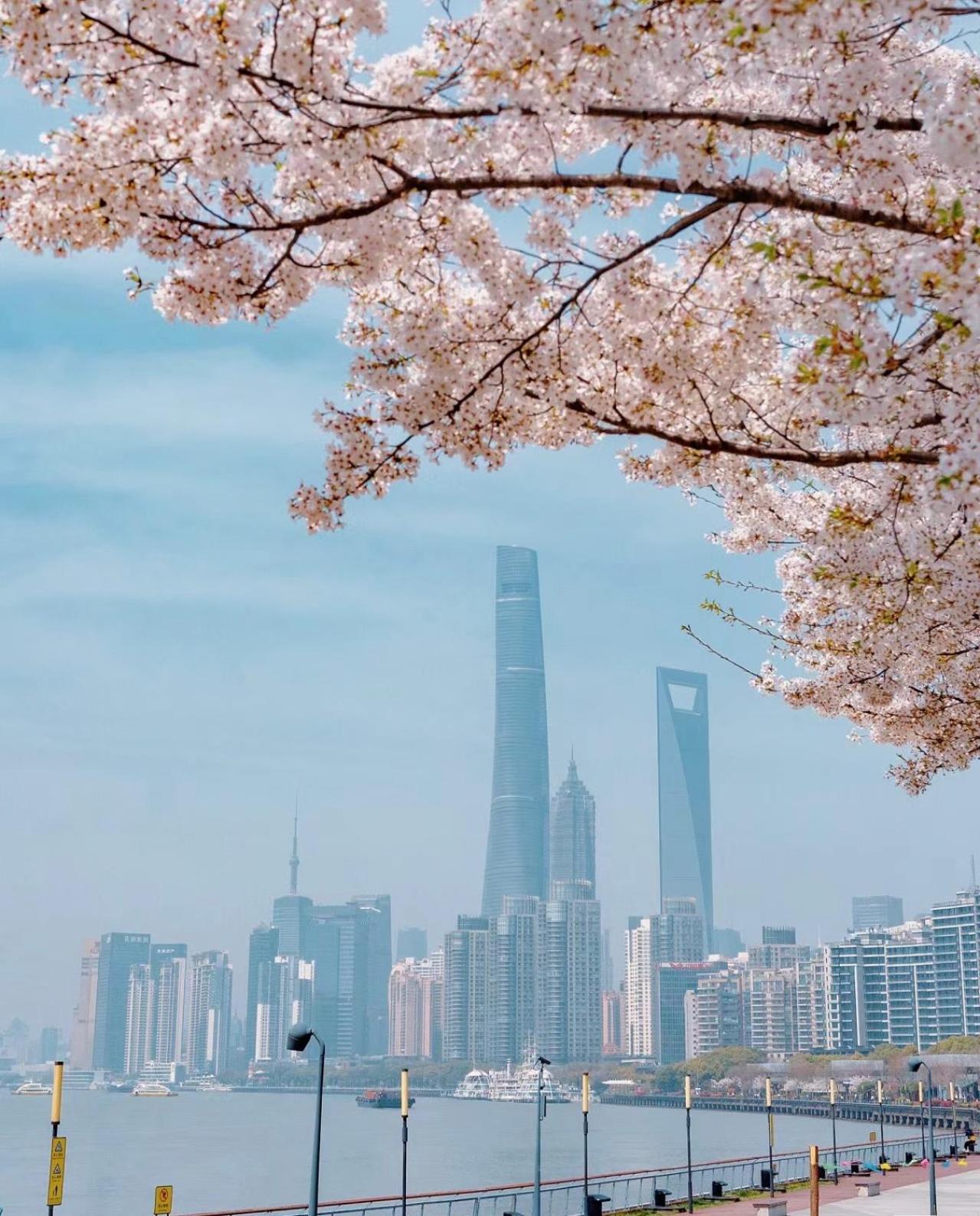 iHome-Lujiazui Riverside, Bund Riverview, Skyscrapers Citywalk, Deluxe Shanghai Living, As Pictured