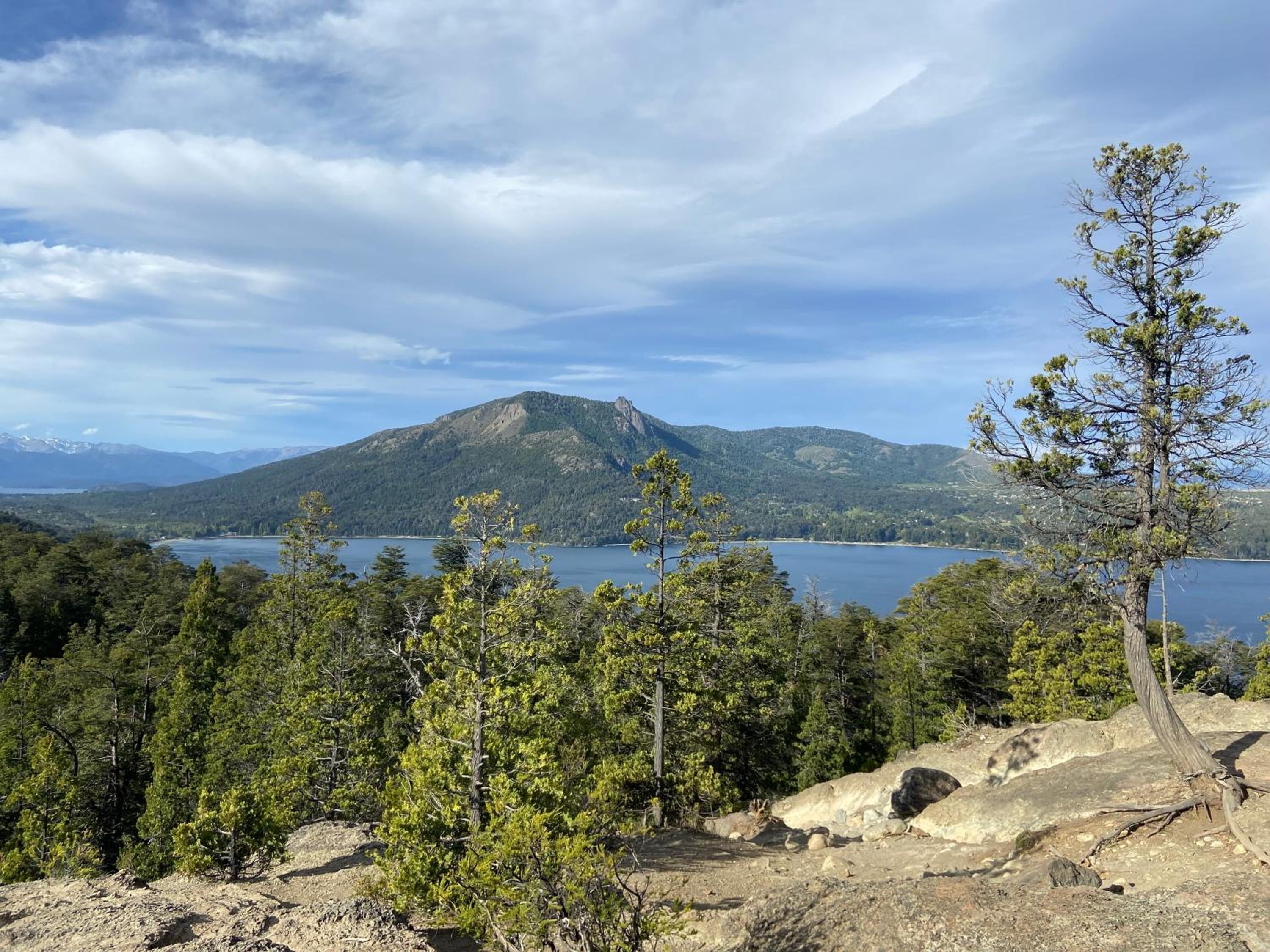 Pico Andino