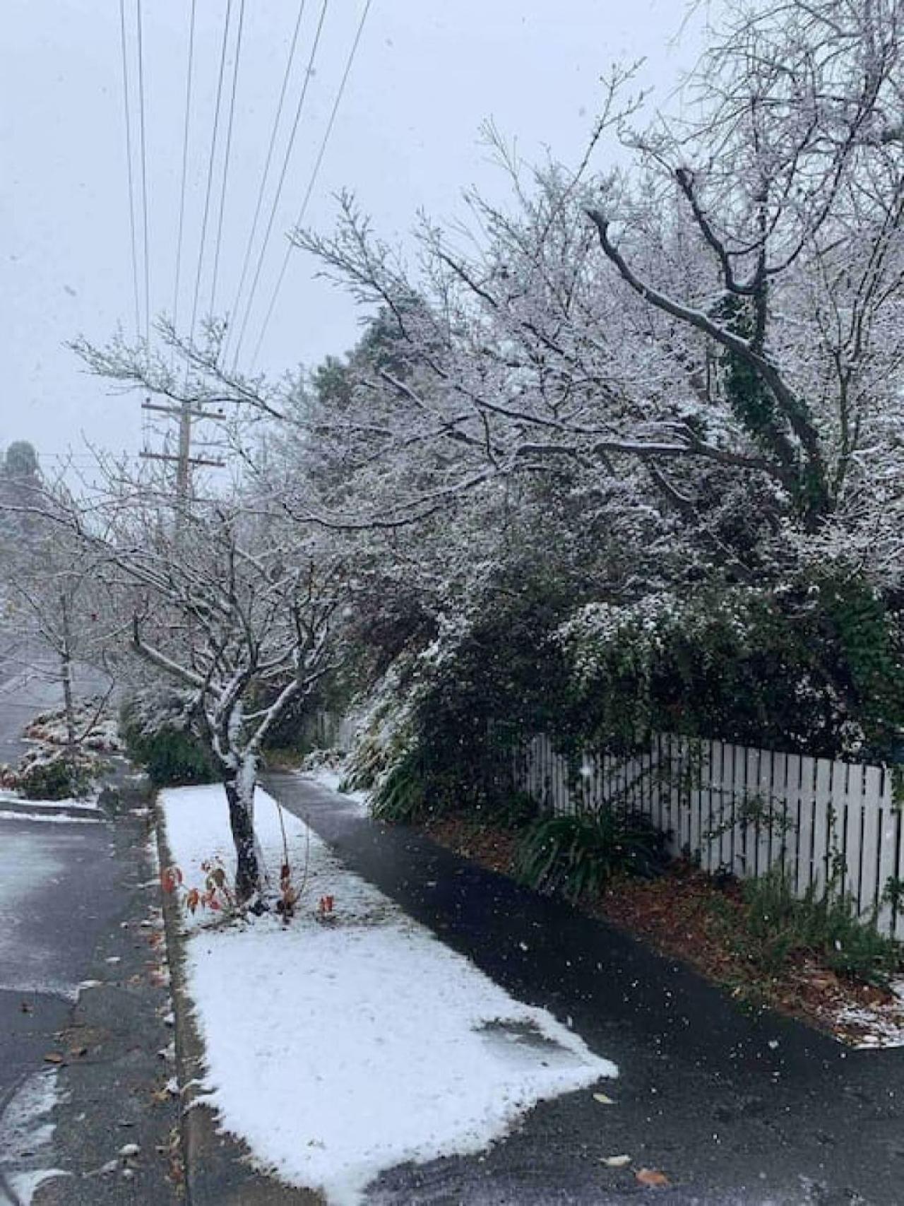 Craigend, Leura Mall - 3 Mins Walk to Shops