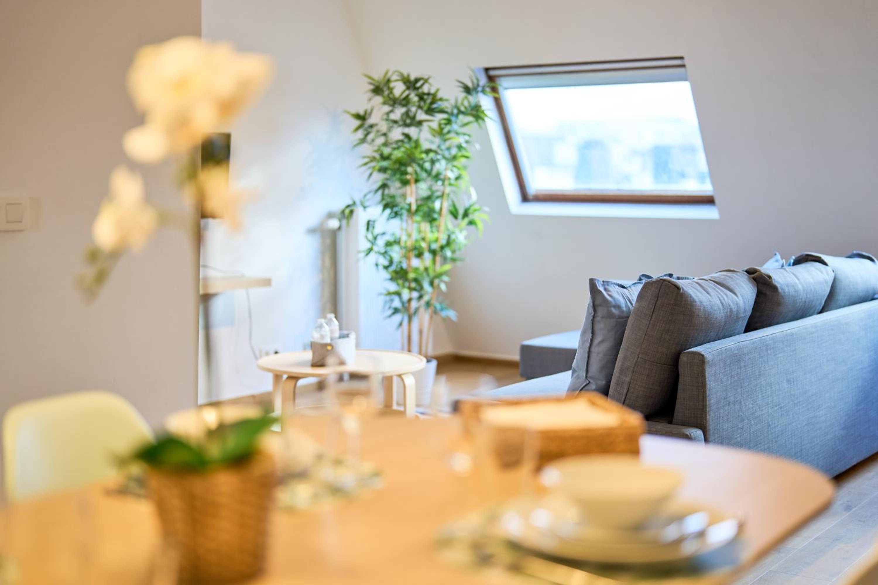 Charming Apartment in Heart of Grand Place