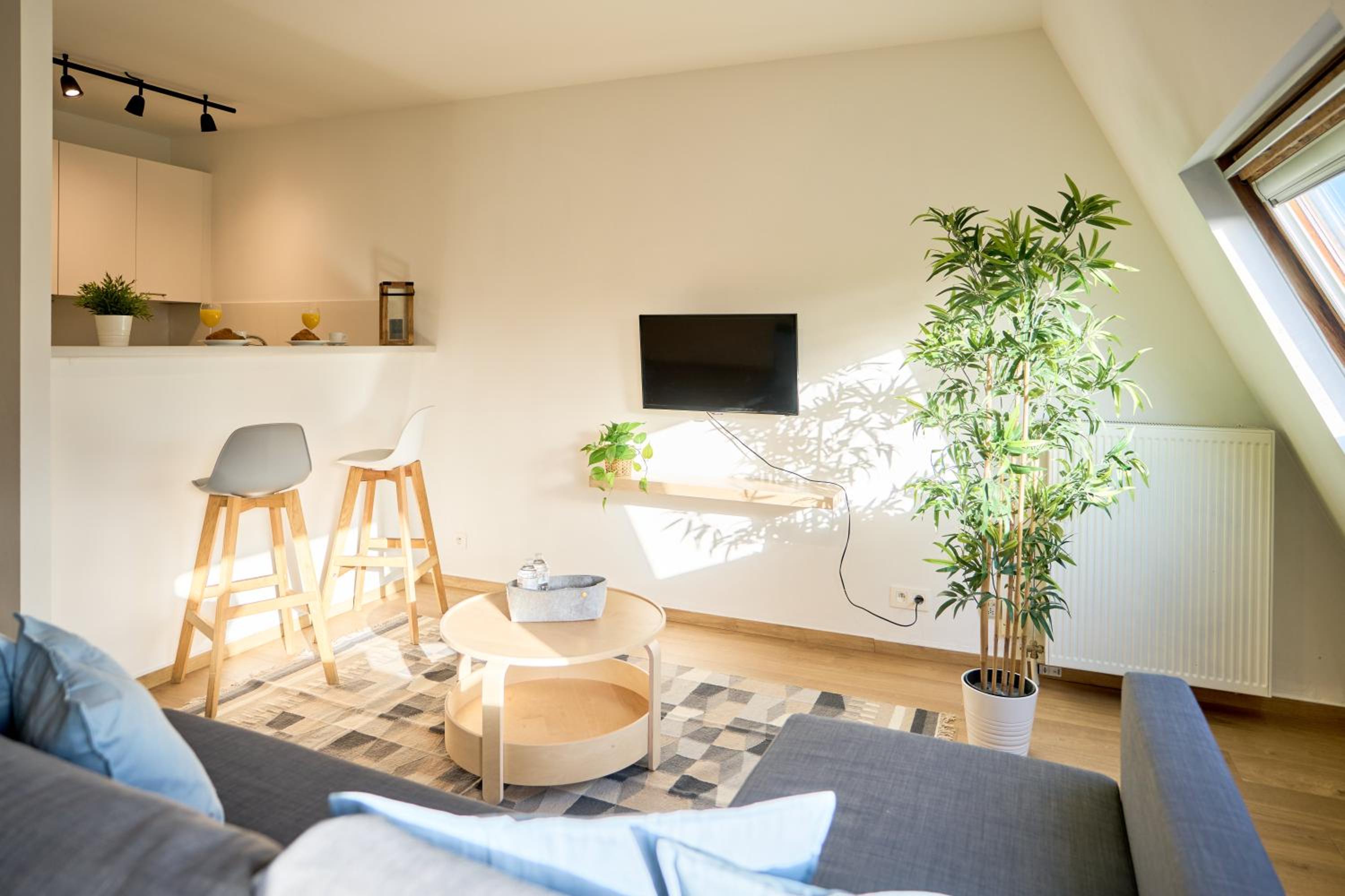 Charming Apartment in Heart of Grand Place