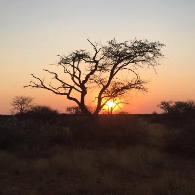 Farm stay in the heart of the Kalahari Namibia- serviced luxury self catering accommodation view 2