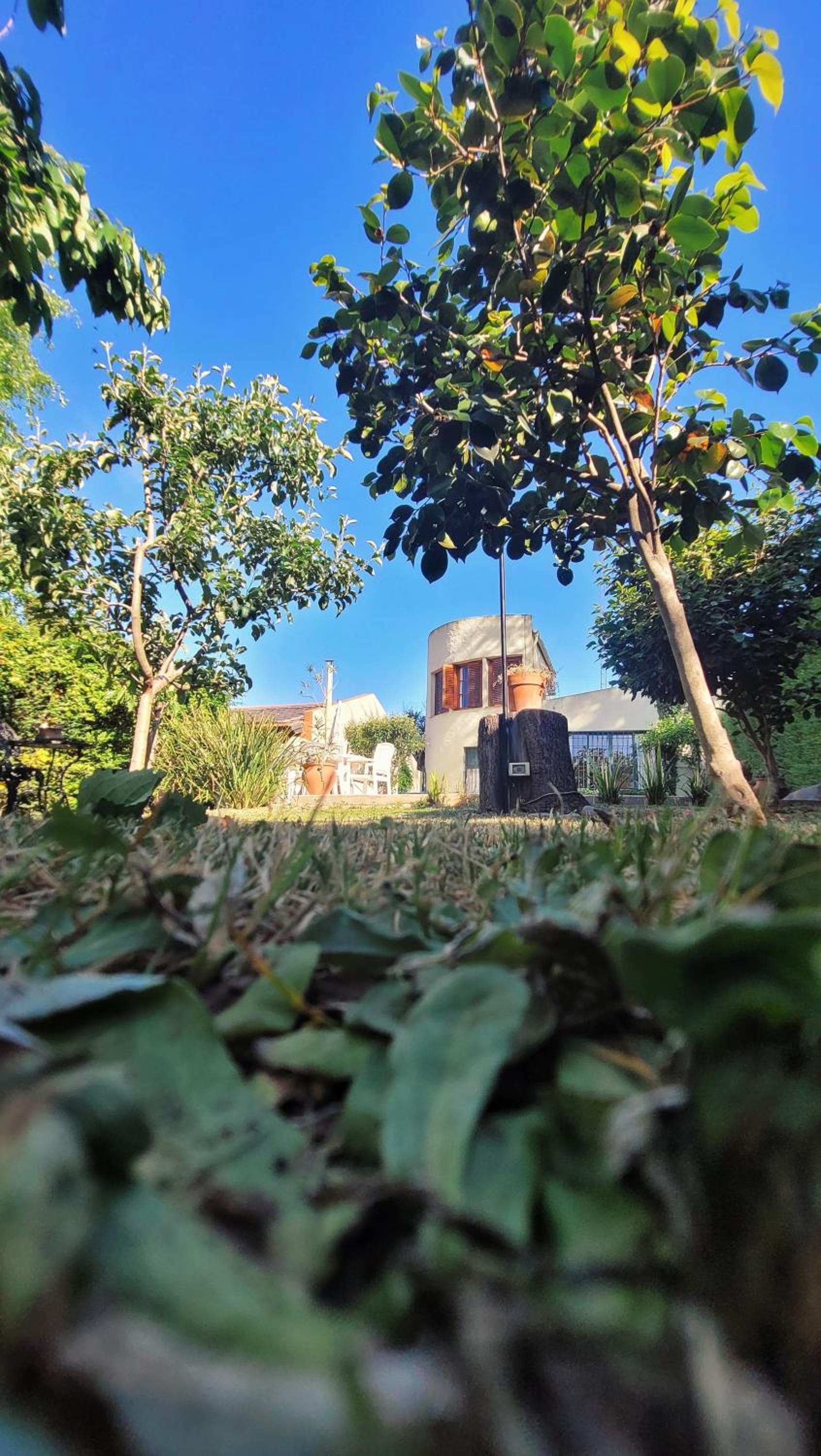 Mariposas del Parque