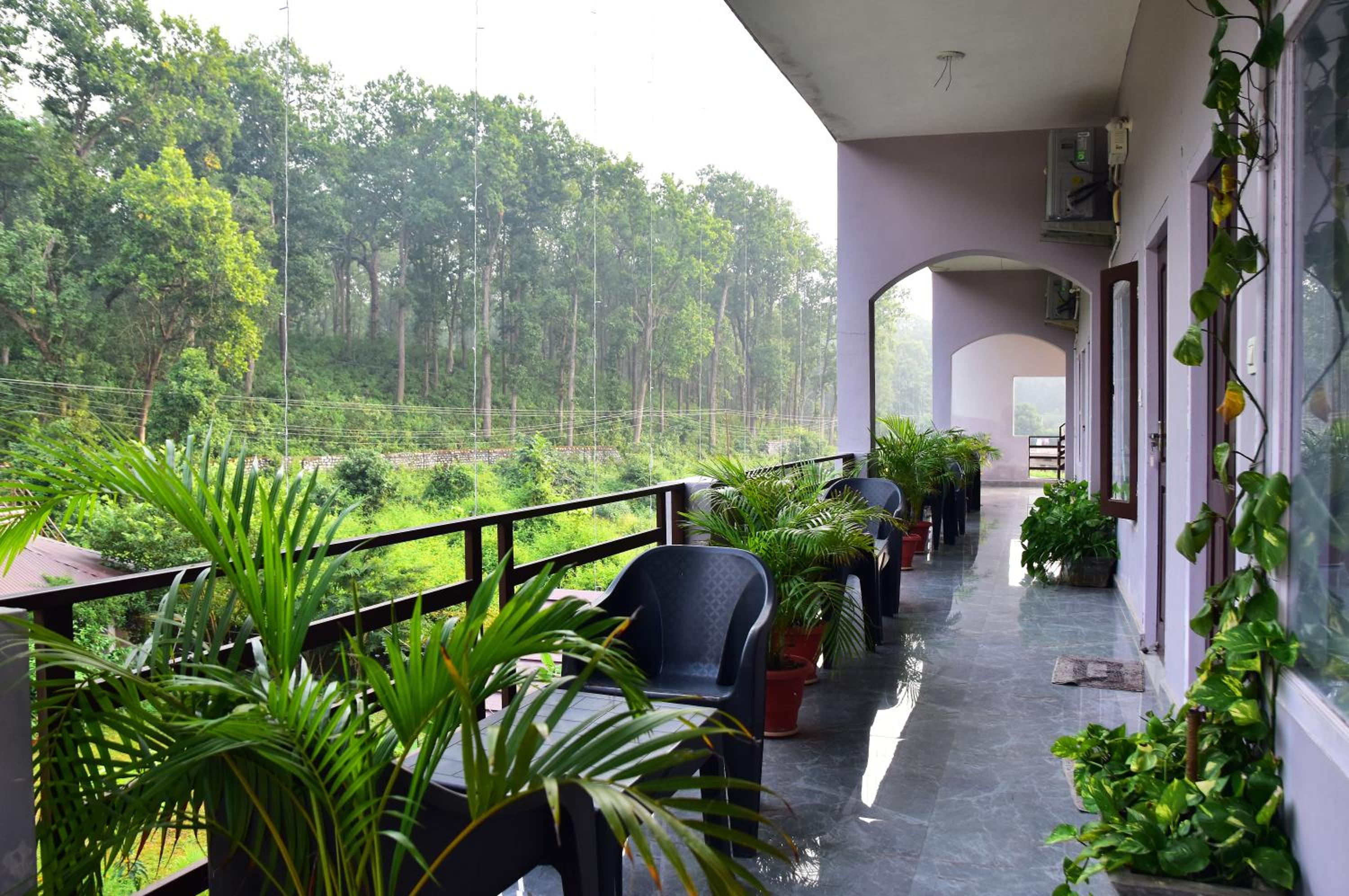Sparrow Nest Corbett